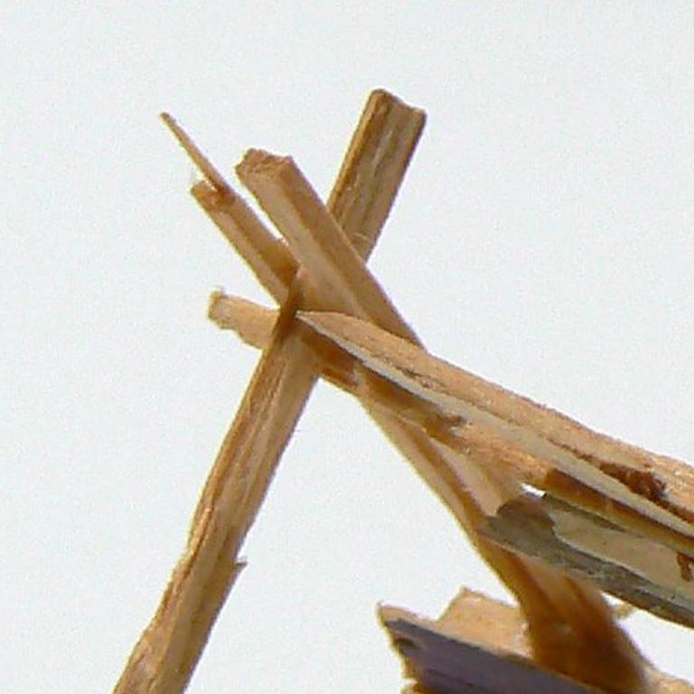 wood splinter