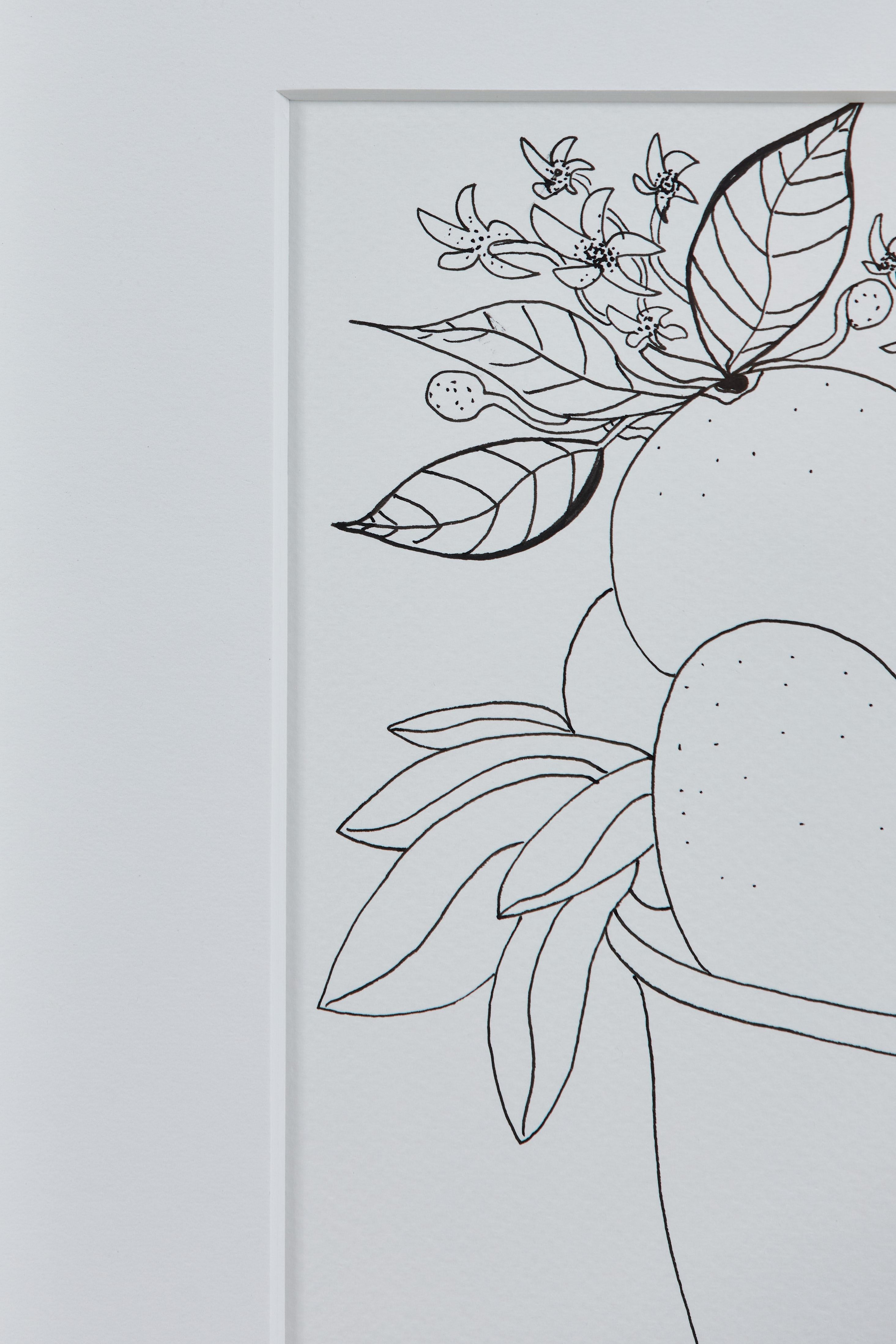 Liz Young:: Obststillleben in einer Schale mit Füßen:: Tinte auf Papier (21. Jahrhundert und zeitgenössisch)