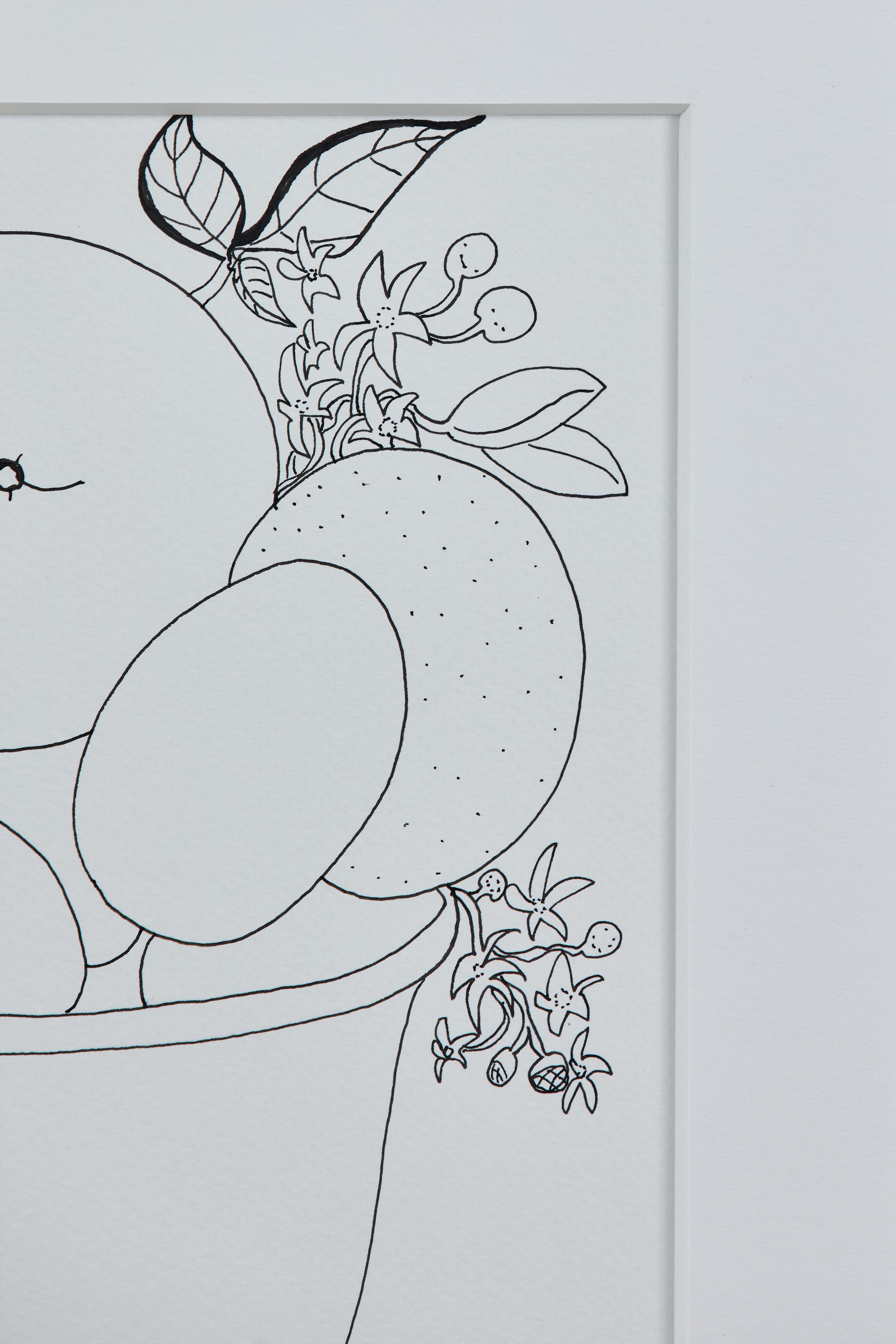 Contemporary Liz Young, Still Life of Fruit in a Footed Bowl, Ink on Paper