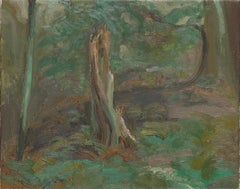 Forest Canopy