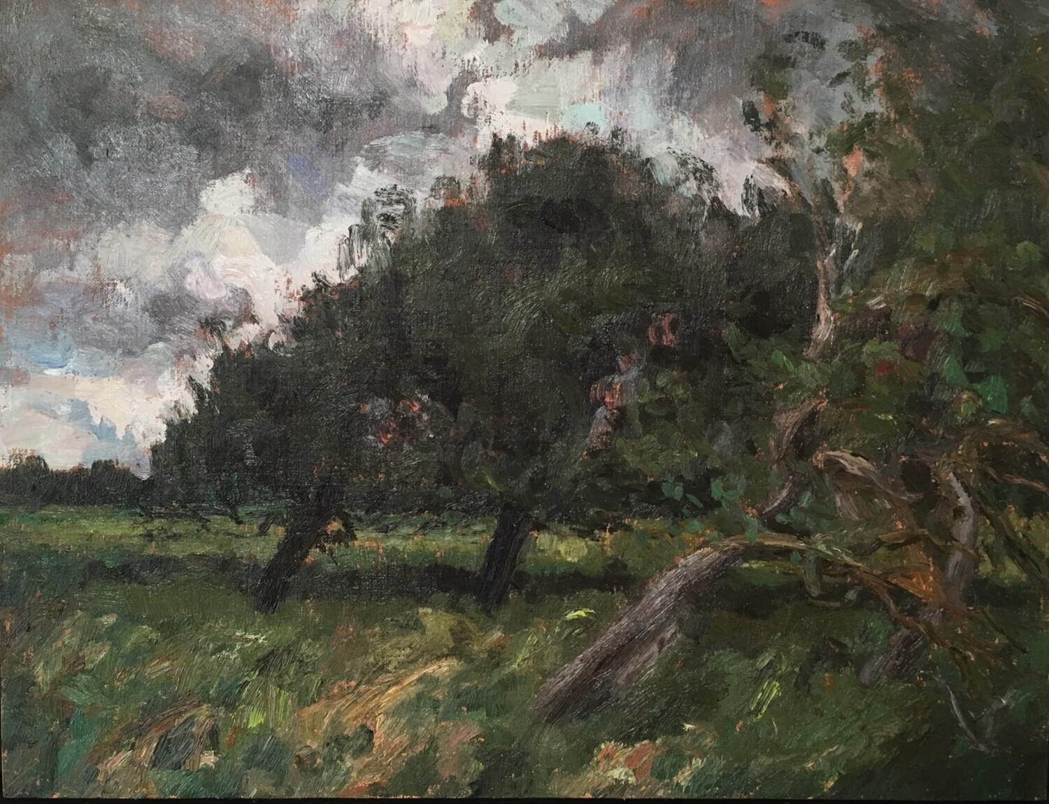Liza Visagie Landscape Painting - Incoming Storm