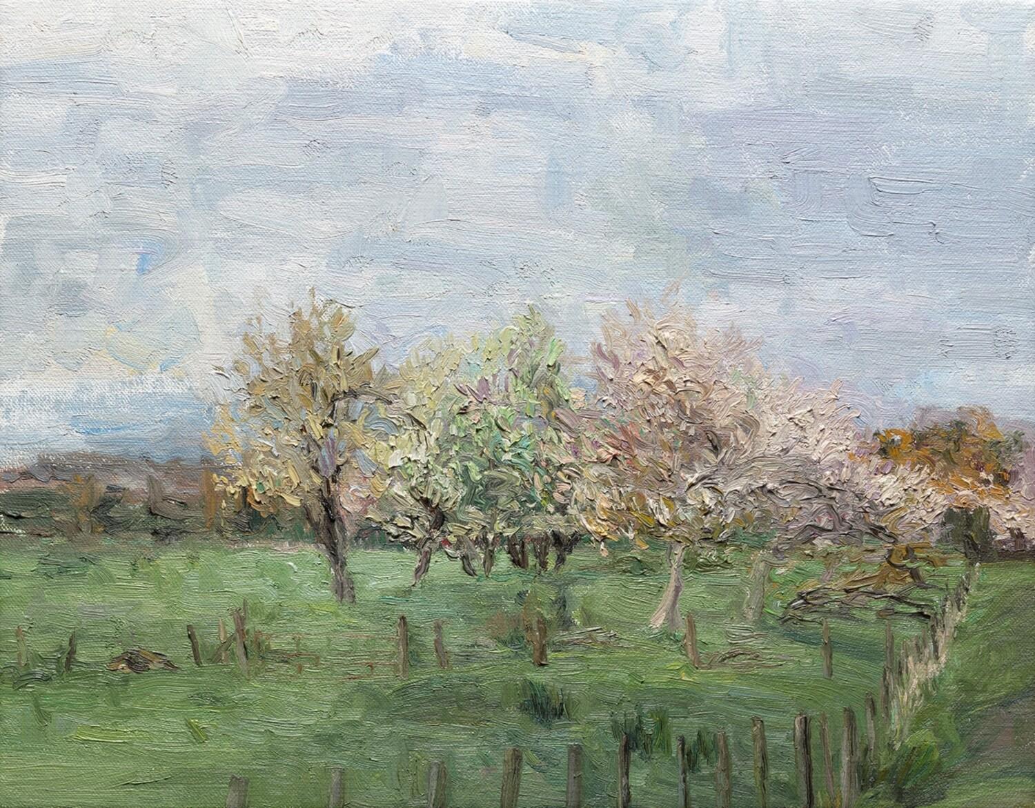 Liza Visagie Landscape Painting - Orchard