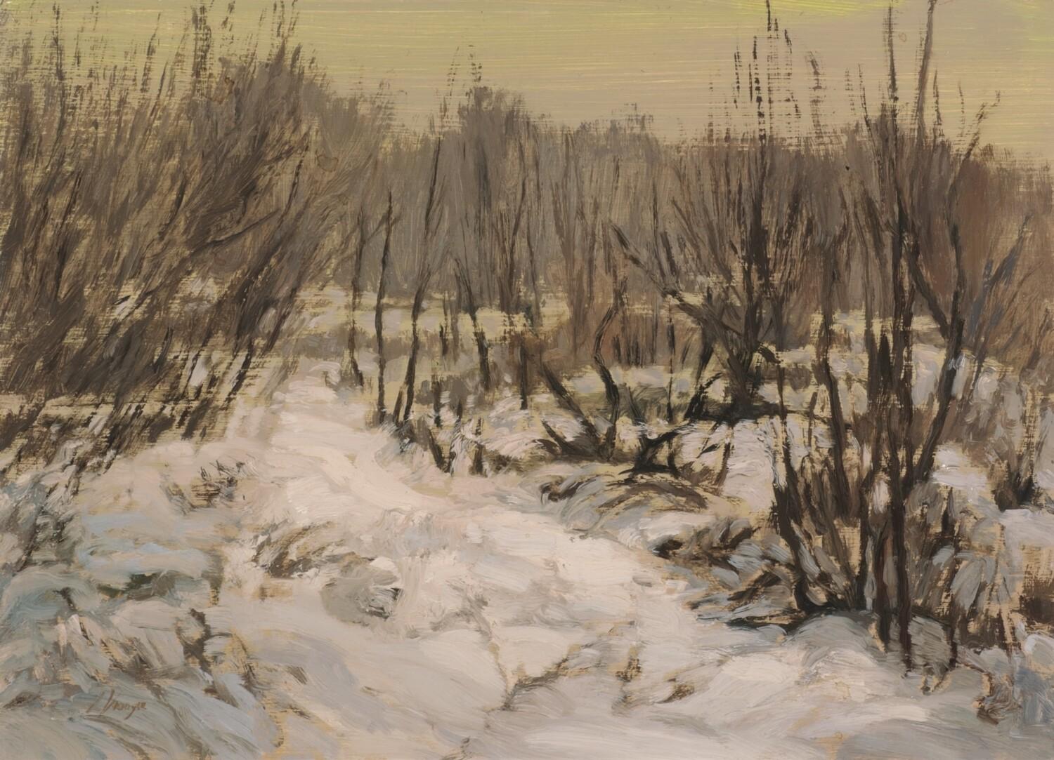 Liza Visagie Landscape Painting -  Silent Snow