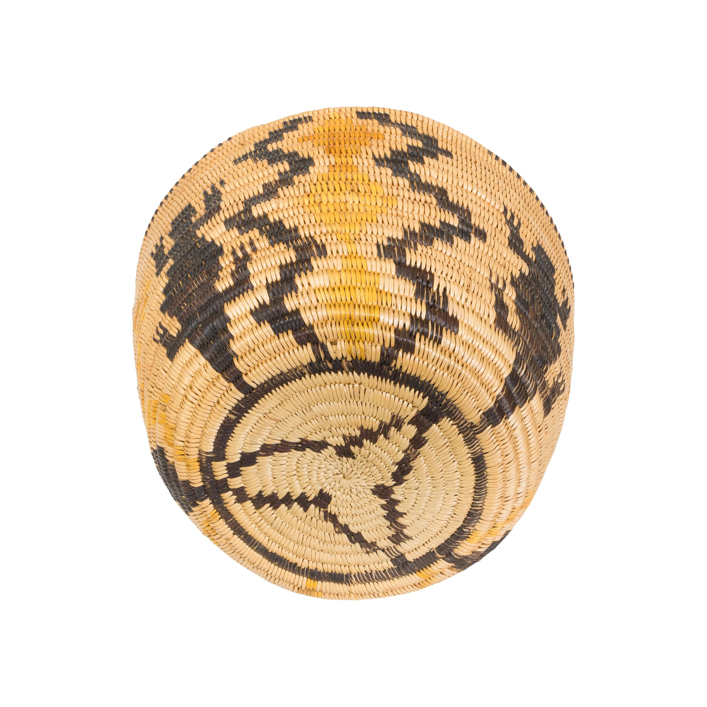Cesta pictórica Misión Lagarto nativo estadounidense en venta