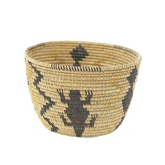 Lizard Mission Pictorial Basket