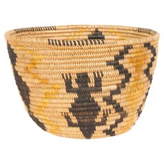 Lizard Mission Pictorial Basket