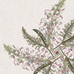 Lizard Orchid Wallpaper Geometric Botanical in Natural