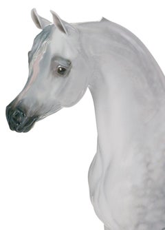 Lladró Arabian Pure Breed Horse Figurine by Ernest Massuet. Limited Edition.