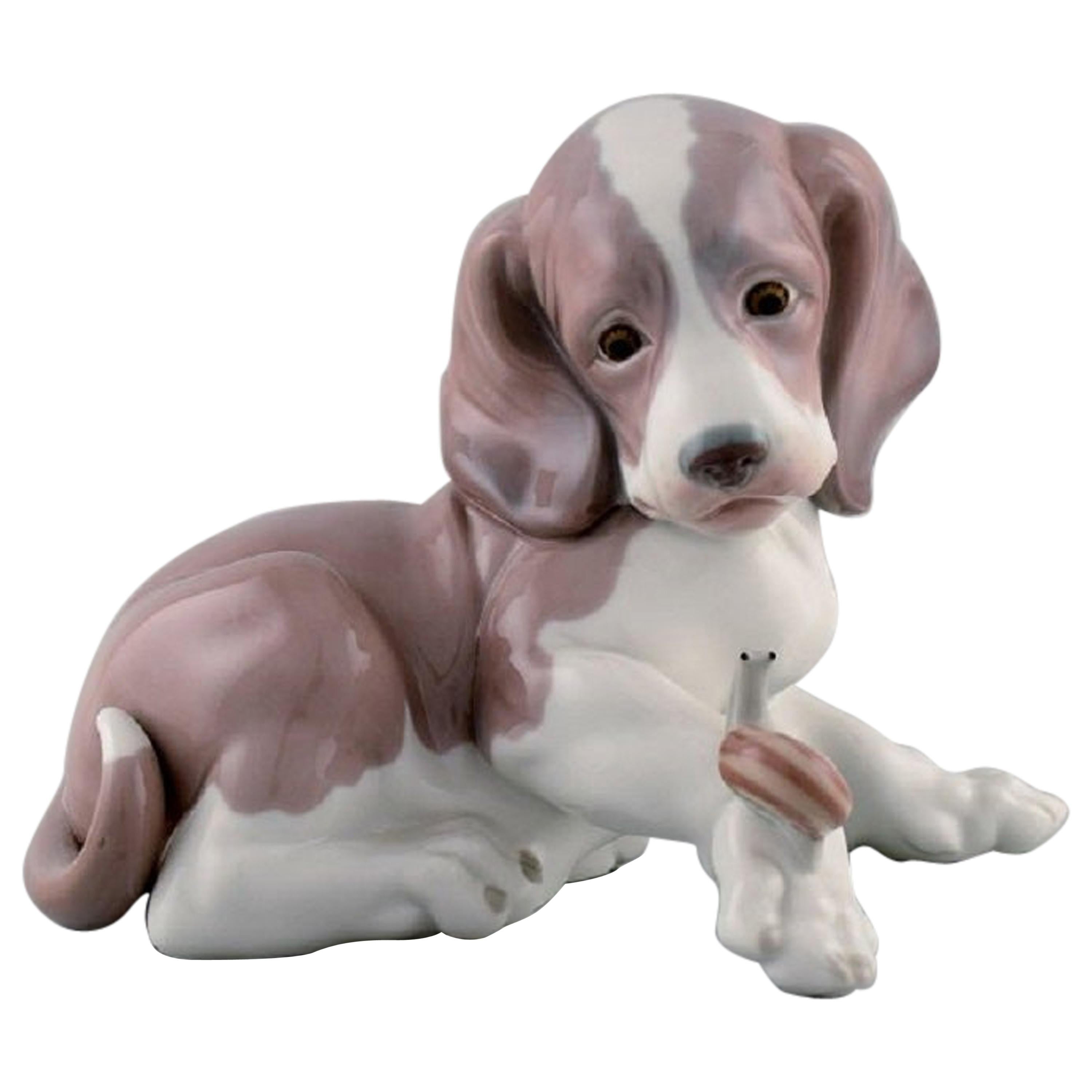 Lladro, Spain, Figure in Glazed Porcelain, Puppy and Snail, 1980s For Sale