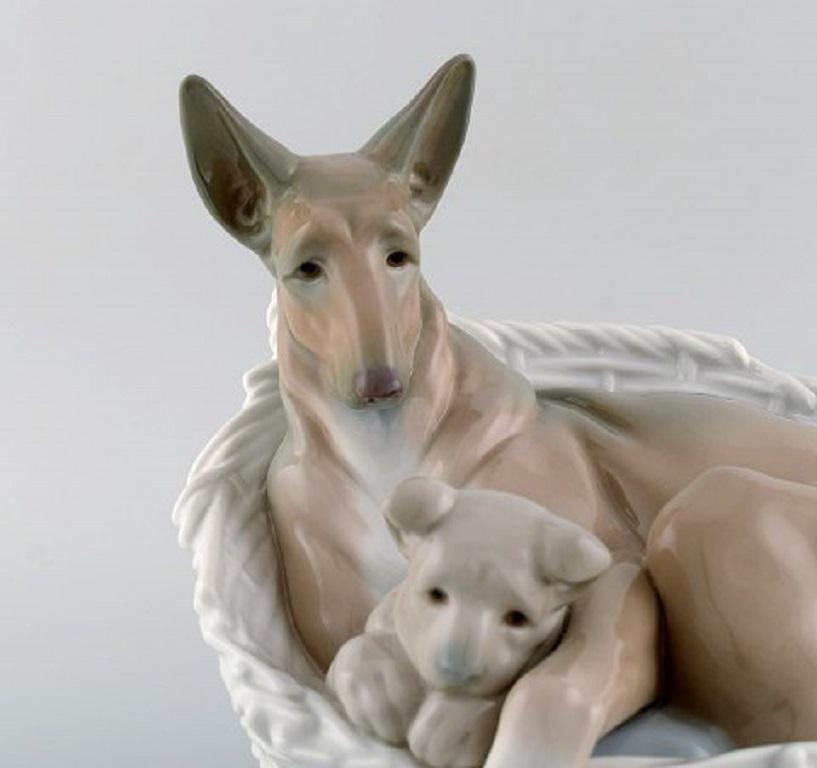 Lladro, Spain. Large figure in glazed porcelain. German shepherd with pup no. 01004731, 1980s.
Measures: 22 x 22 cm.
In very good condition.
Stamped.