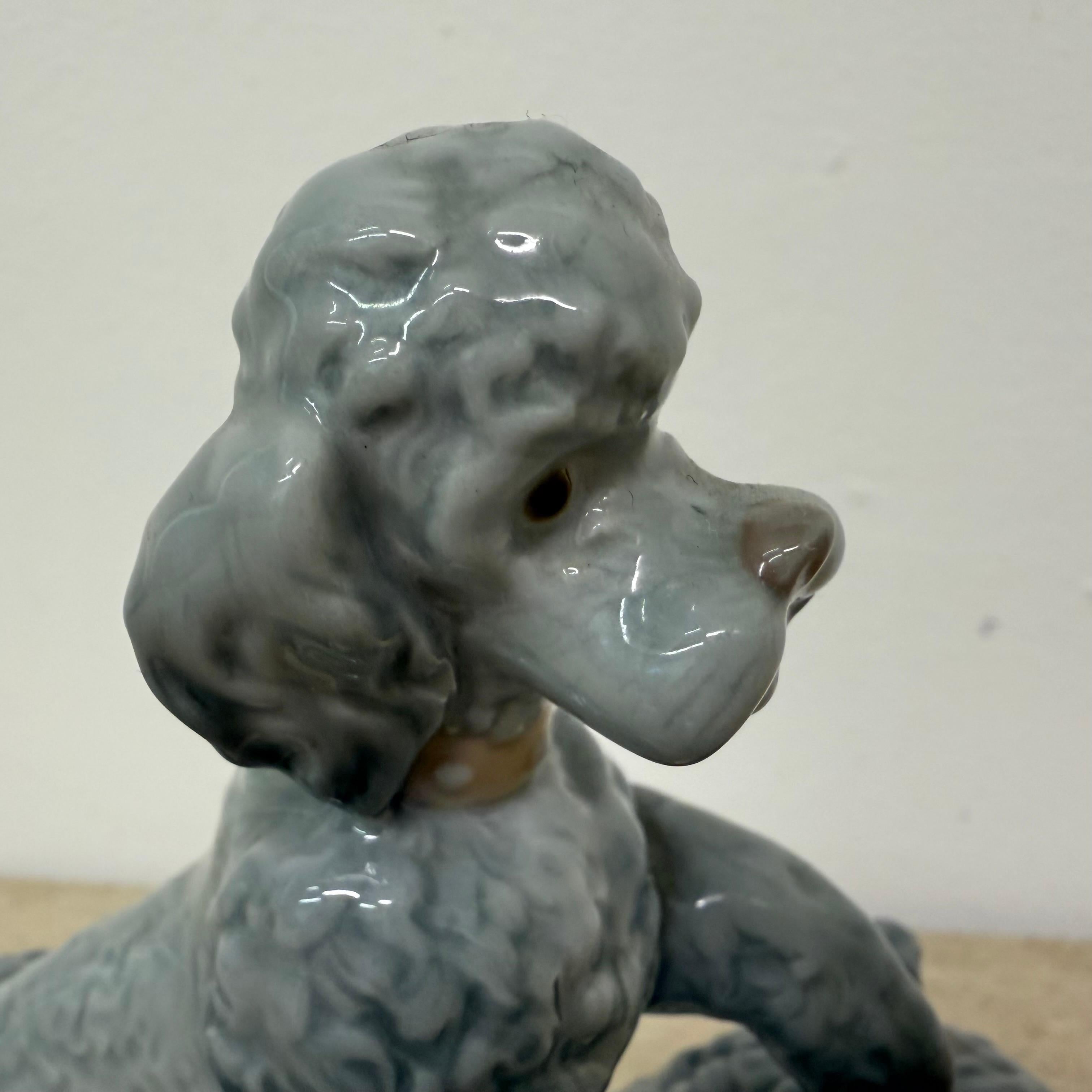 Lladro porcelana española rara escultura caniche en venta 3