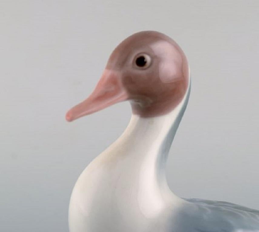 Lladro, Spain, Two Porcelain Figurines, Two Pigeons and Mandarin Duck In Good Condition For Sale In Copenhagen, DK
