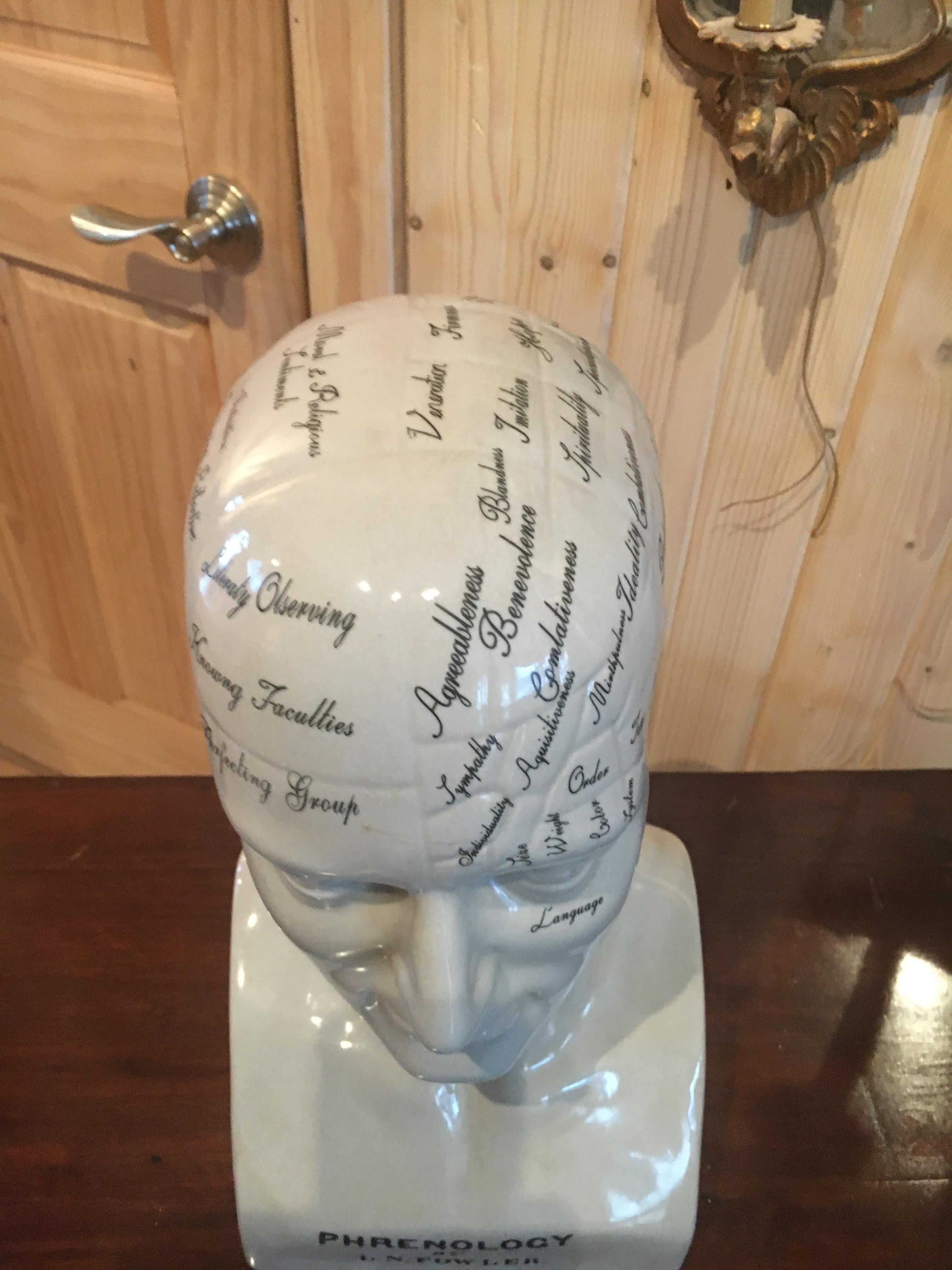 phrenology bust for sale
