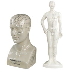 L.N. Fowler Phrenology Head Statue