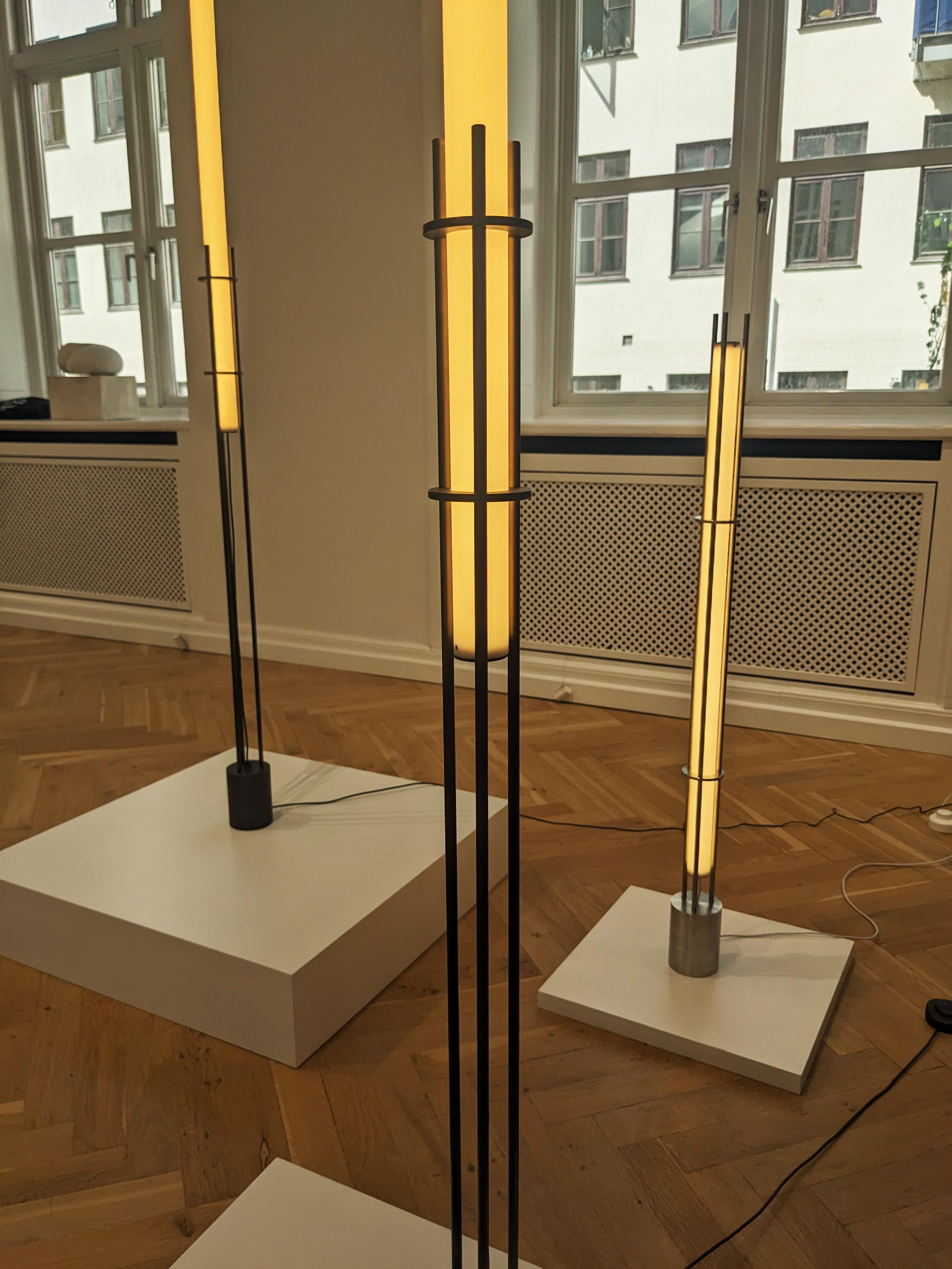 Blackened LO025_standing lamp in Dark bronze For Sale