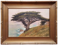 Point Lobos, Monterey County, Kalifornien, Zypressenbaum