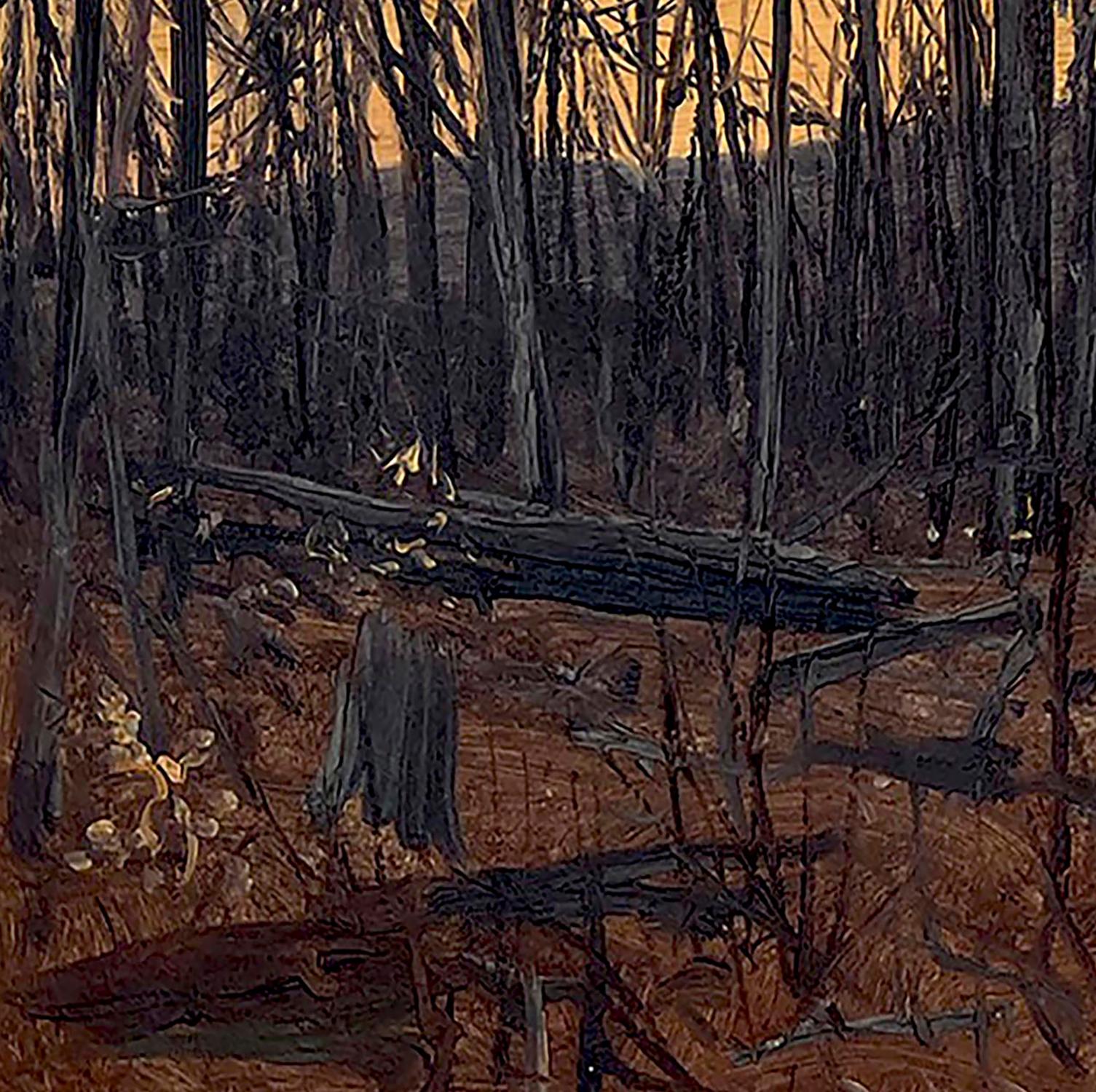 Escena de bosque al anochecer, Catskills por Lockwood DeForest (estadounidense, 1850-1932) en venta 4