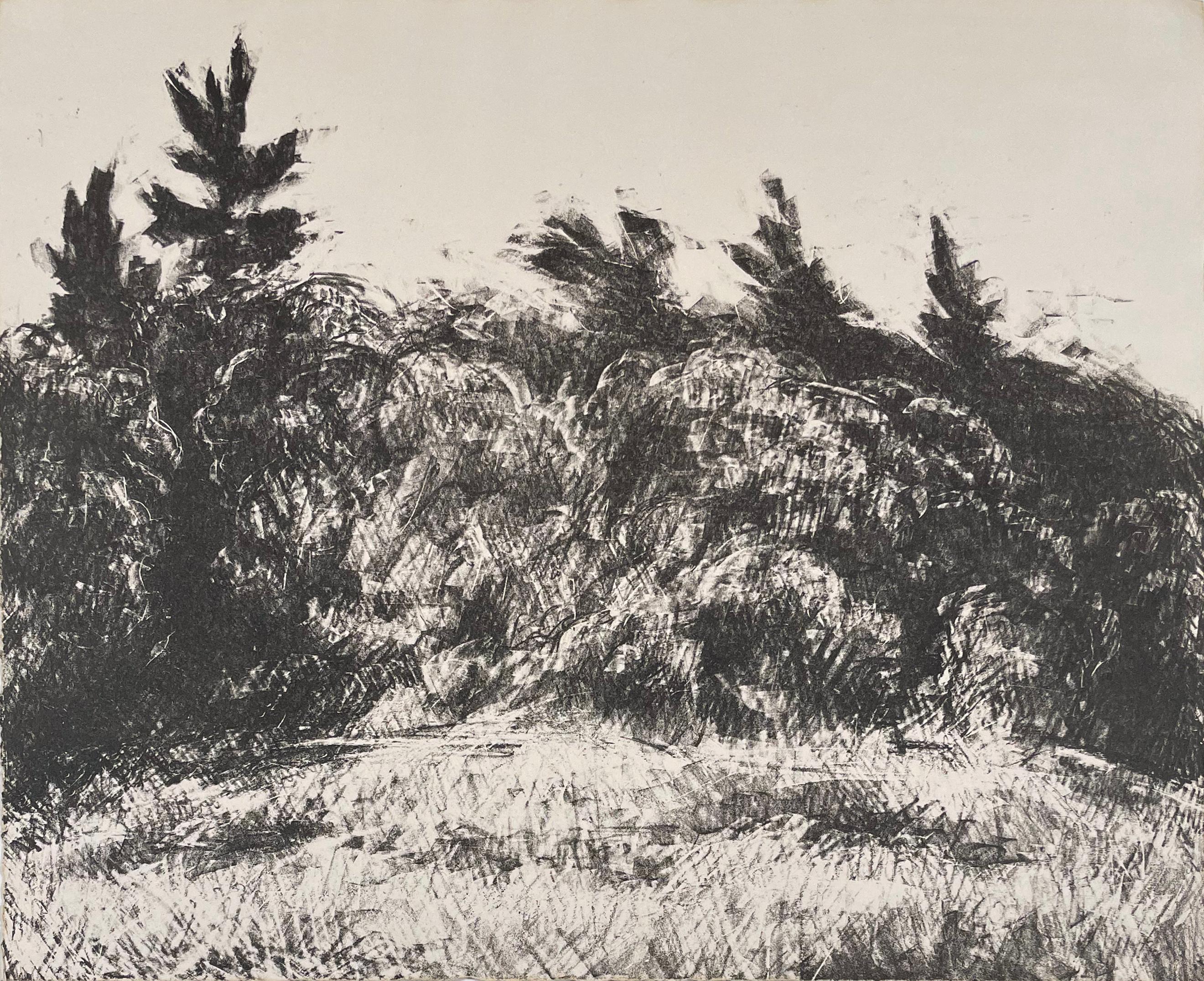 lockwood dennis Landscape Print – Bäume in der Abenddämmerung