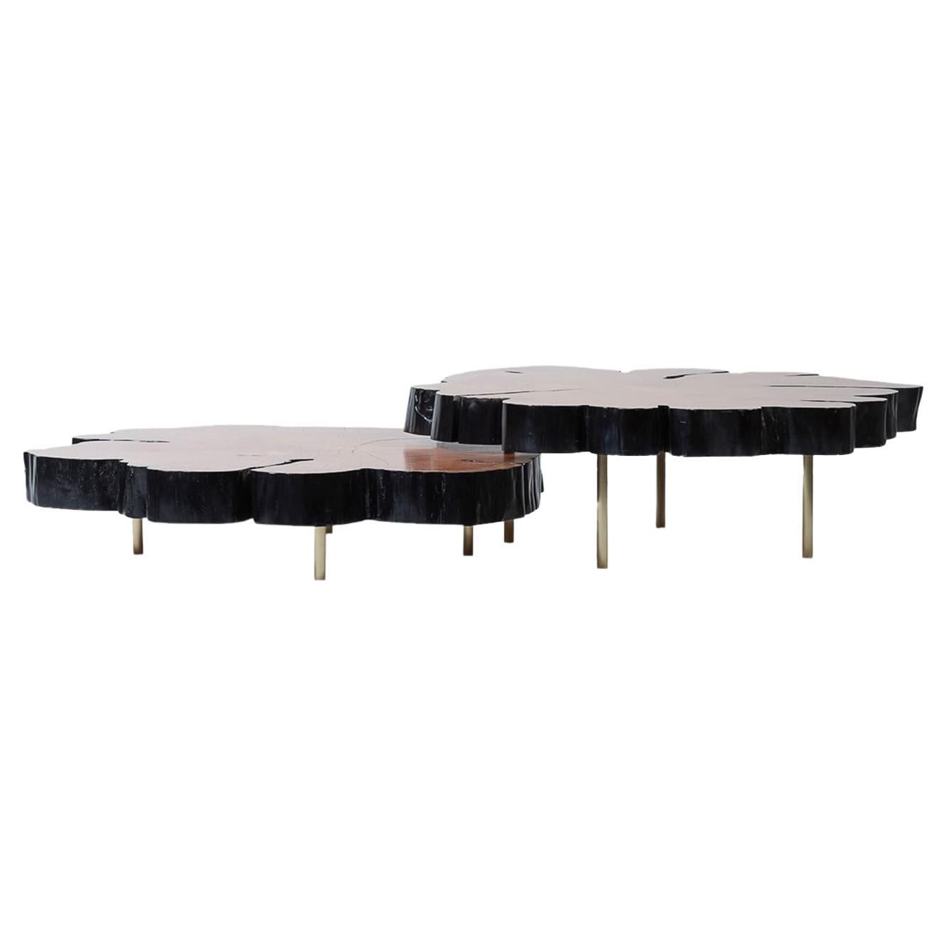 Locum II Set of 2 Coffee Tables For Sale