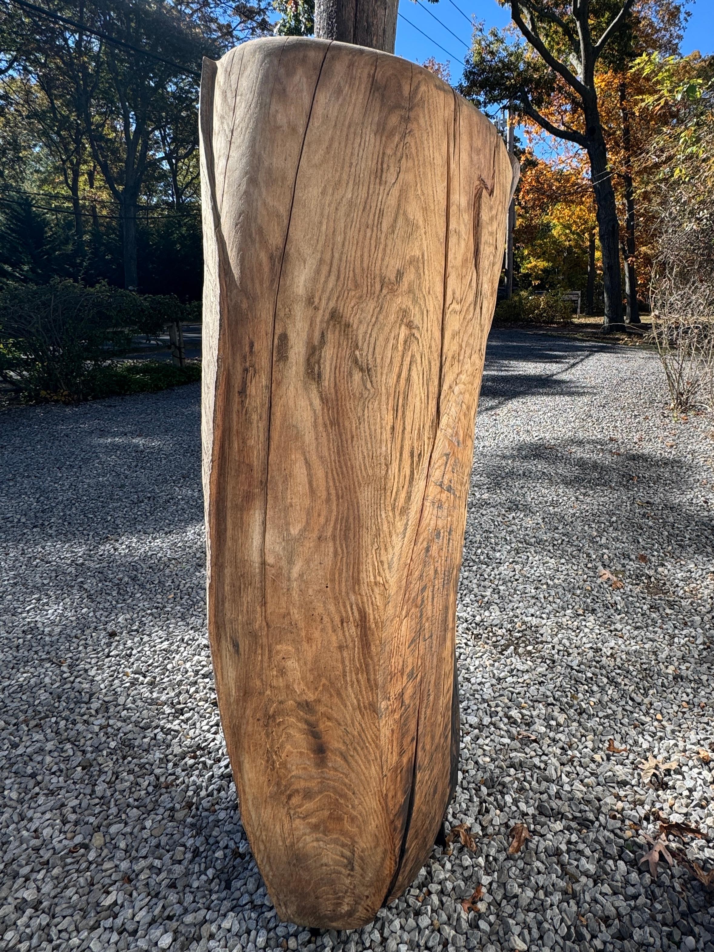 Scultura di Radice di Locusta e Sassafrasso 