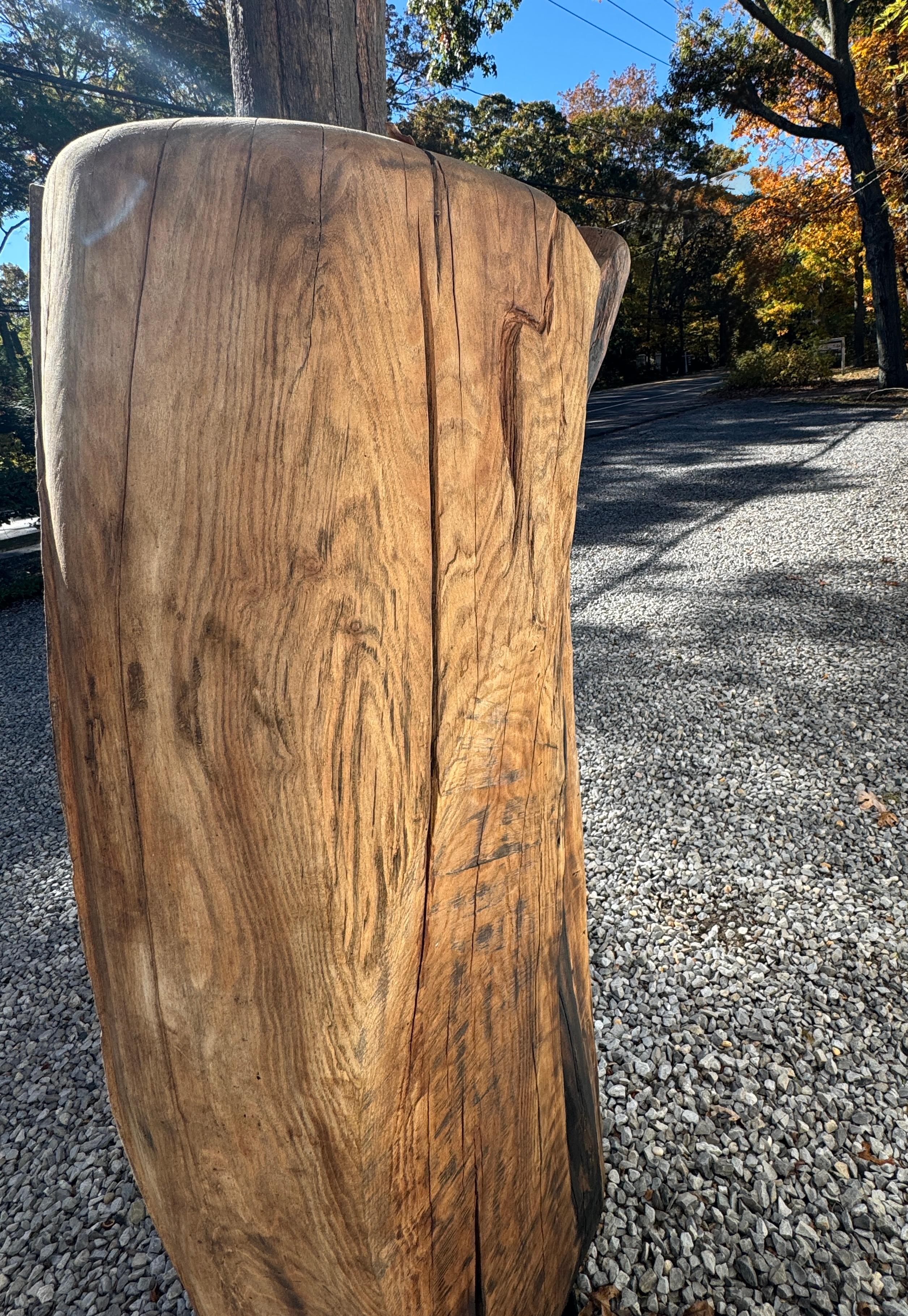 Scultura di Radice di Locusta e Sassafrasso 