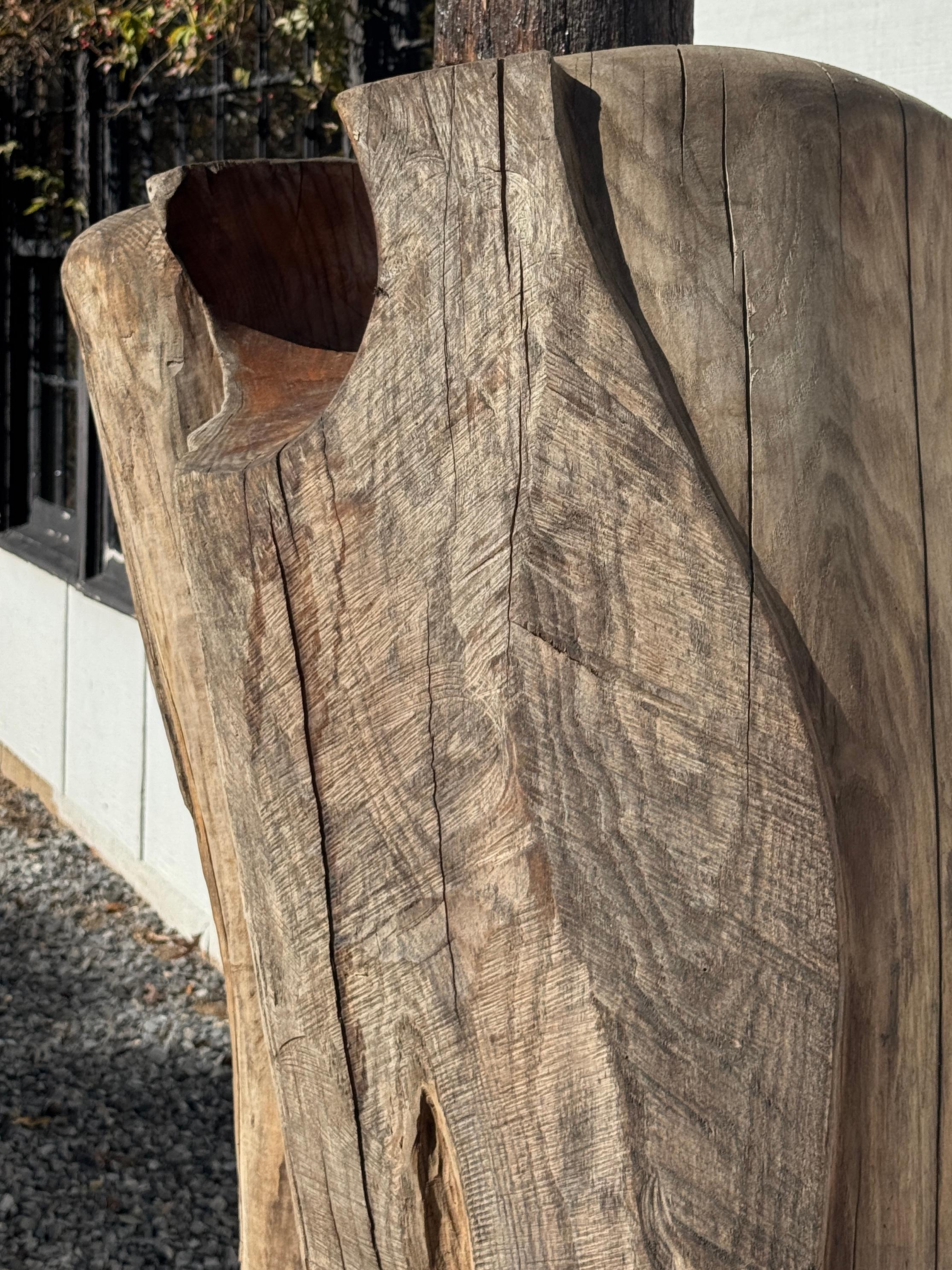 Scultura di Radice di Locusta e Sassafrasso 