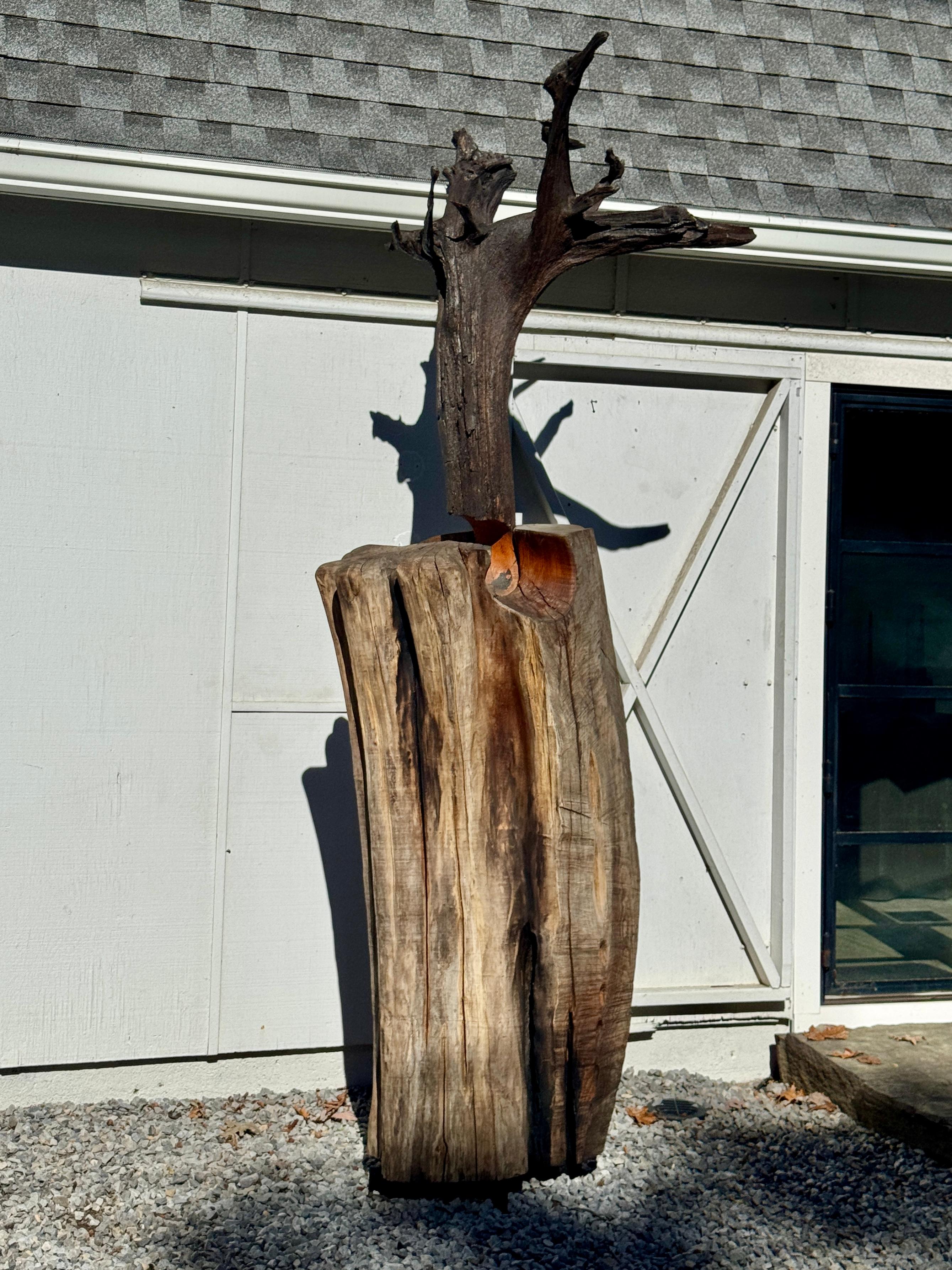 Un'opera scultorea monumentale dell'artista contemporaneo Christophe Froehlich, composta da una base di sassafrasso invecchiato dagli agenti atmosferici e da una forma di radice di loto straordinariamente organica montata sopra. I due elementi sono