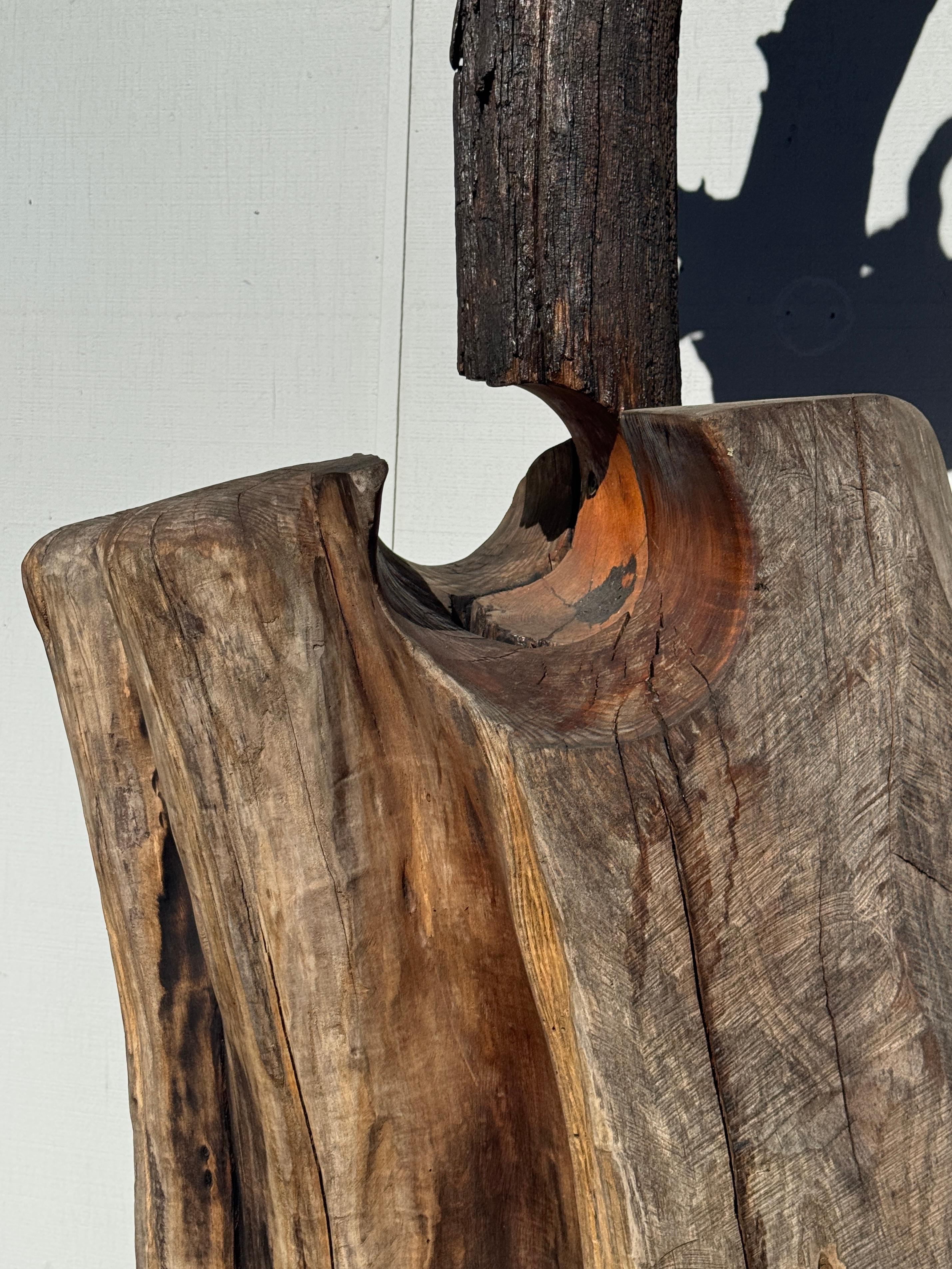 Acciaio Scultura di Radice di Locusta e Sassafrasso 