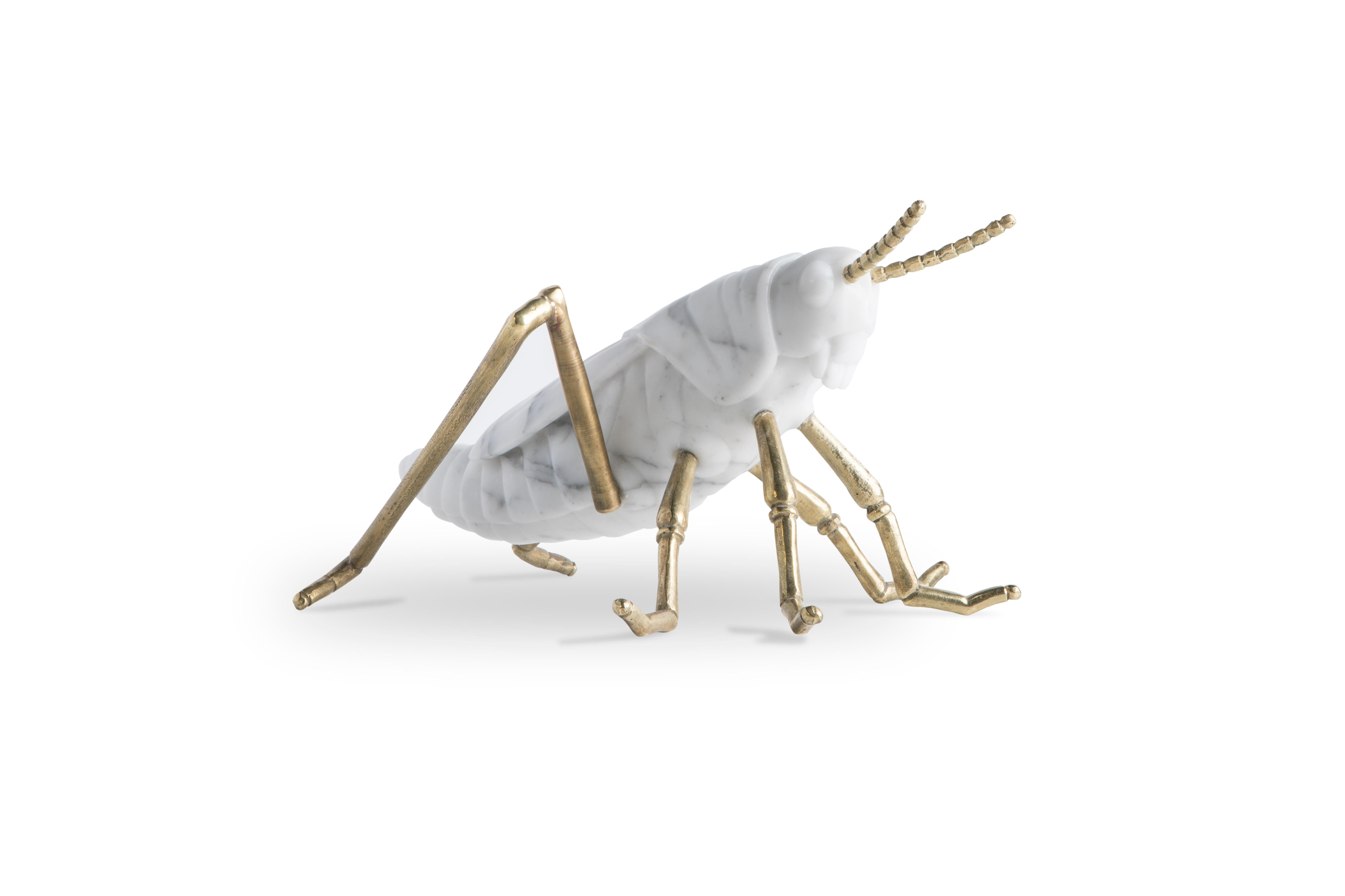 Locusta Migratoria is a grasshopper in Arabescato marble and brass Made in Italy. 
Designed by Massimiliano Giornetti, former creative director for the fashion house Salvatore Ferragamo, it is a special collaboration with FiammettaV Home