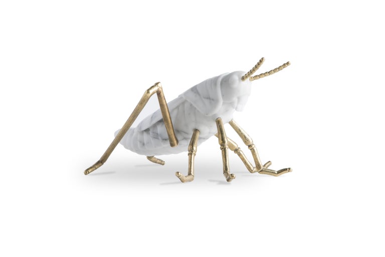 Locusta Migratoria is a grasshopper in white arabescato marble Made in Italy. 
Designed by Massimiliano Giornetti, former creative director for the fashion house Salvatore Ferragamo, it is a special collaboration with FiammettaV Home