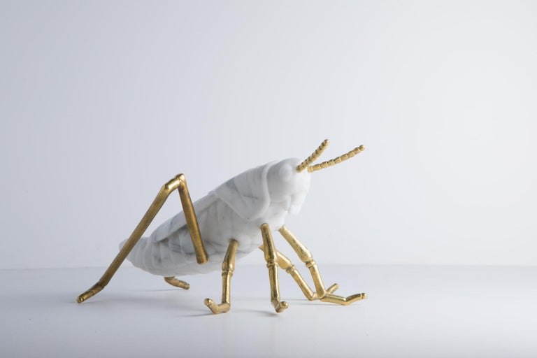 Hand-Crafted Locusta Migratoria, Grasshopper in White Arabescato Marble Made in Italy For Sale