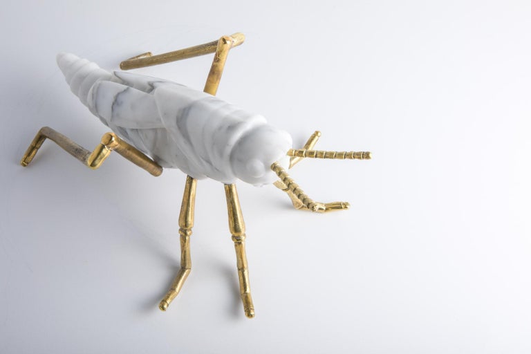 Contemporary Locusta Migratoria, Grasshopper in White Arabescato Marble Made in Italy For Sale