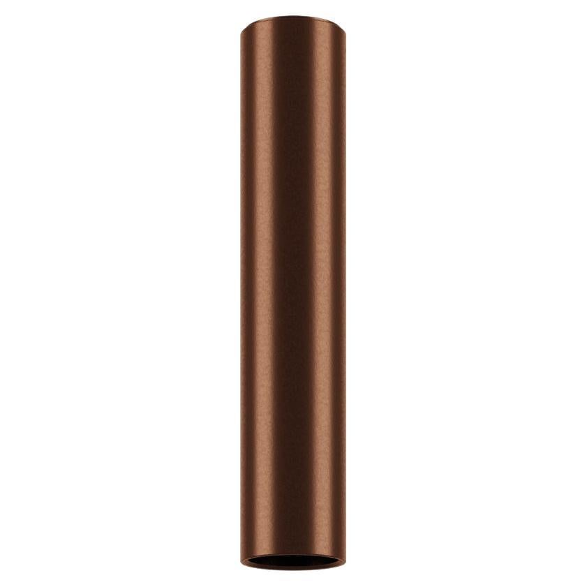 Lodes A-TUBE Small Ceiling Lamp in Coppery Bronze by Studio Italia Design