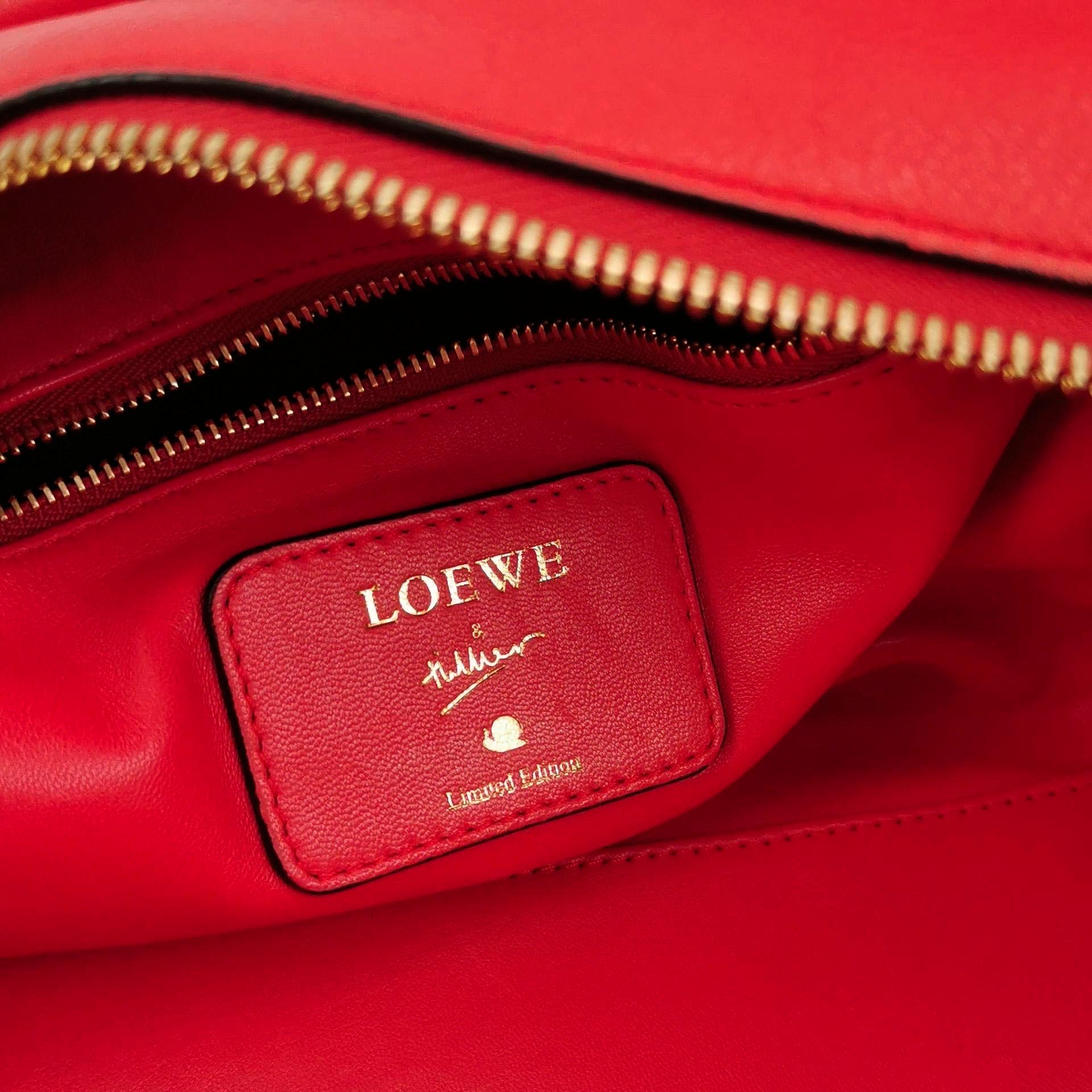 Loewe Amazona 28 en cuir de veau rouge breloque escargot dorée spéciale en vente 1