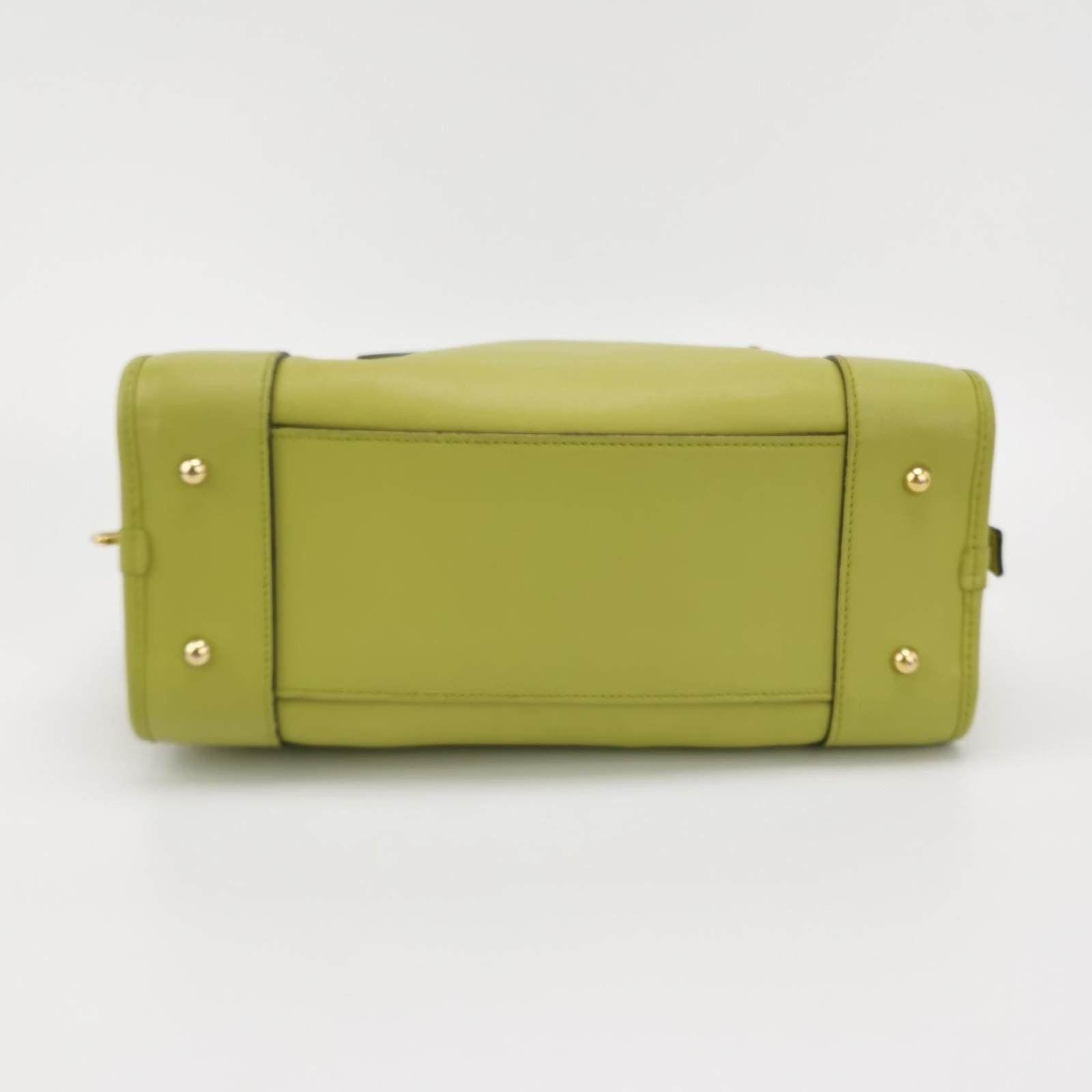 Loewe Amazona 29 in Olive Green Lambskin Leather 2