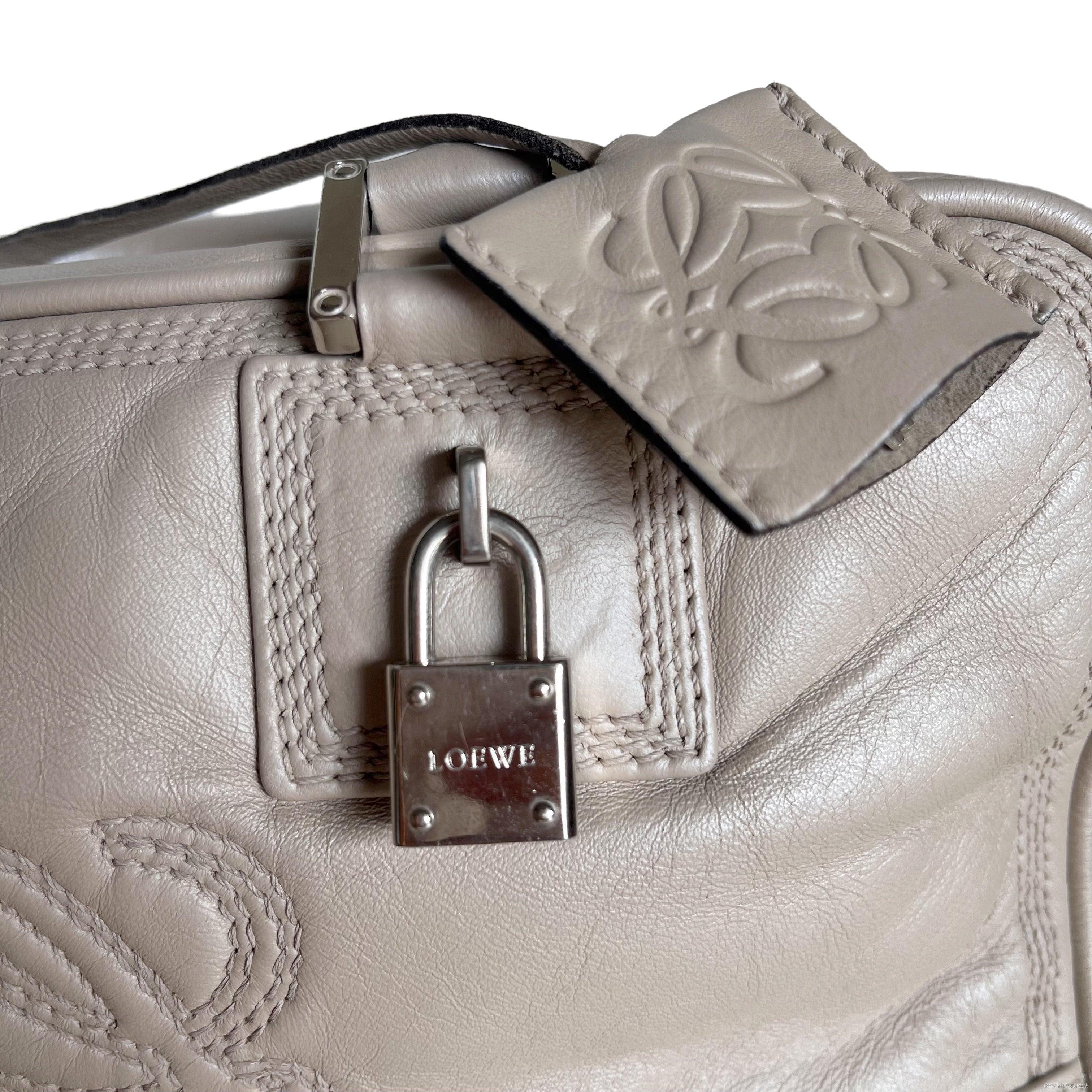 Loewe Amazona 29 Pearlescent Nude Lambskin Leather Zip Around For Sale 7