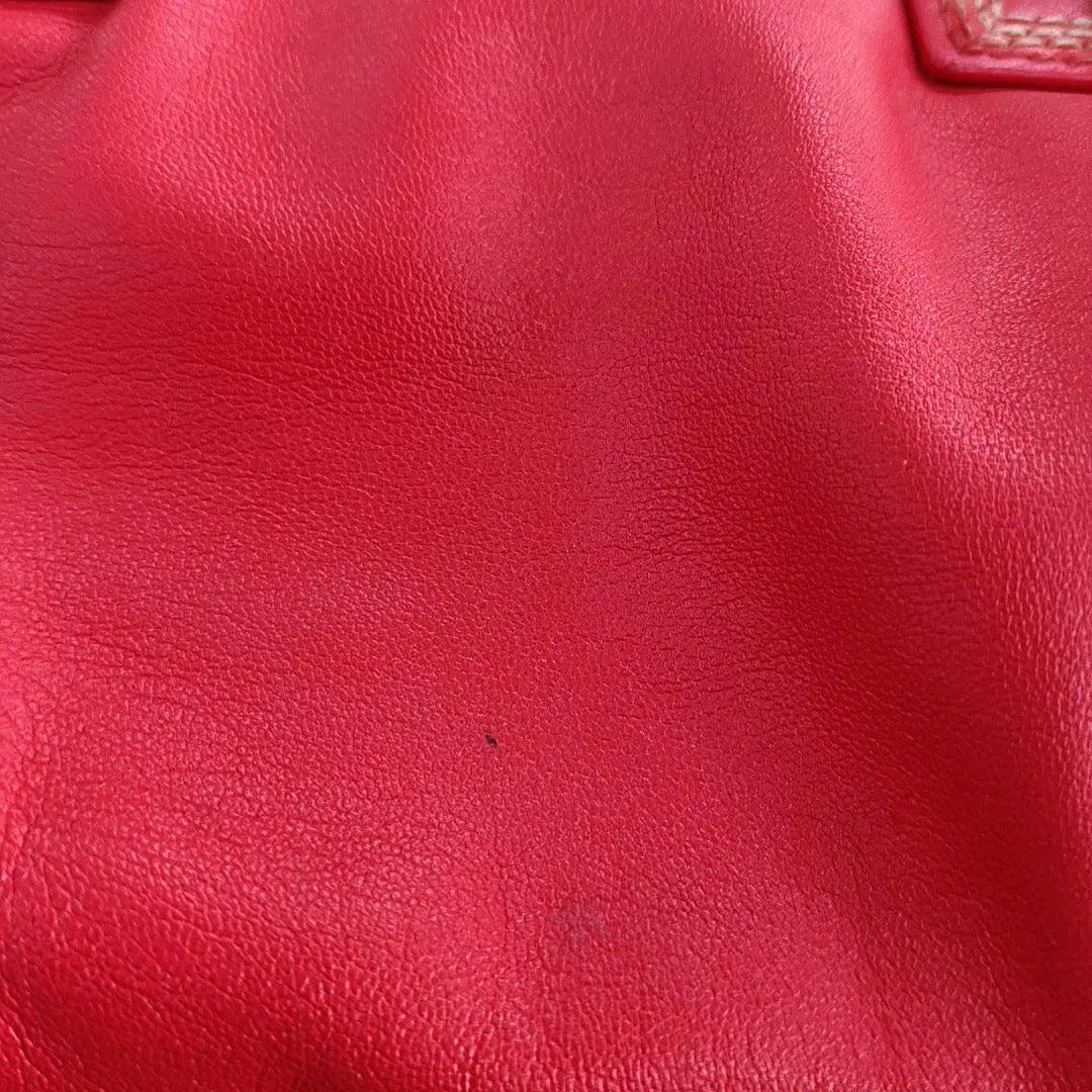Loewe Amazona 29 Red Calfskin Leather Zip Around 12
