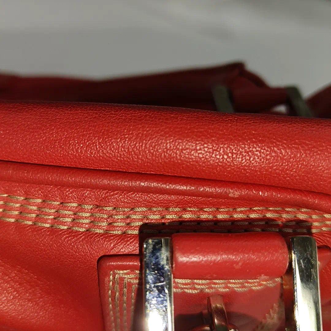 Loewe Amazona 29 Red Calfskin Leather Zip Around 15