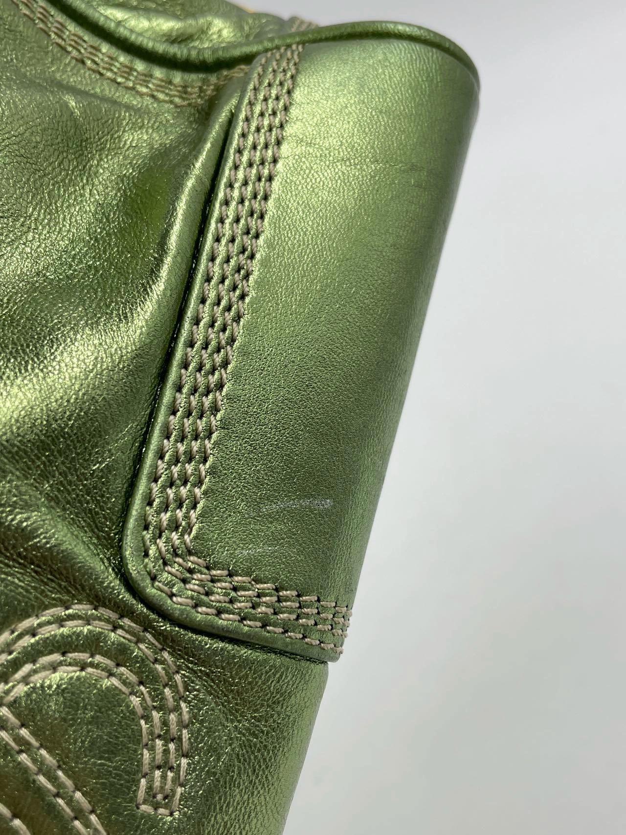 Loewe Amazona 29 Zip Around in Metallic Green Lambskin Leather For Sale 5