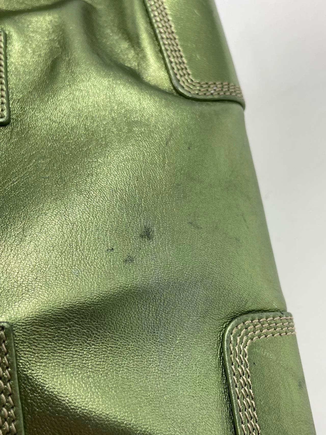 Loewe Amazona 29 Zip Around in Metallic Green Lambskin Leather For Sale 9