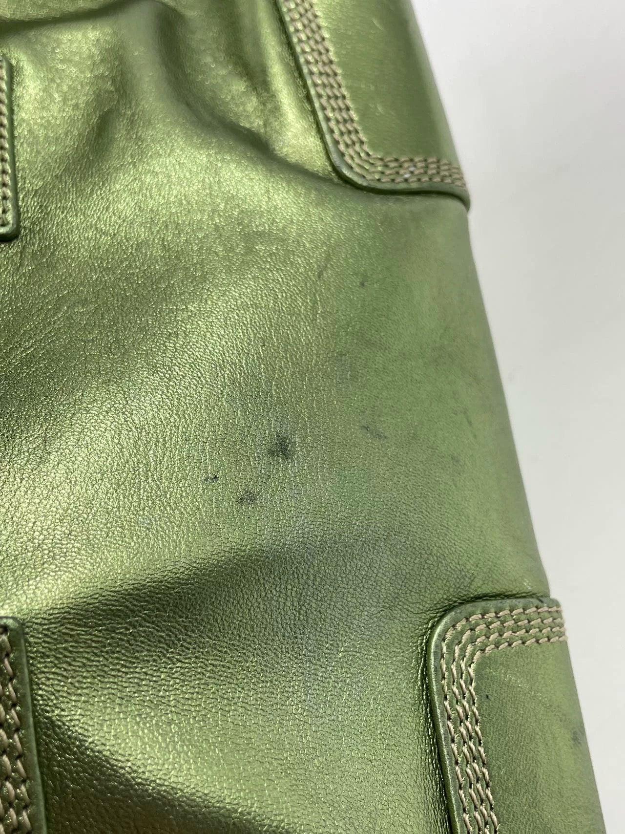 Loewe Amazona 29 Zip Around en cuir d'agneau vert métallisé en vente 11