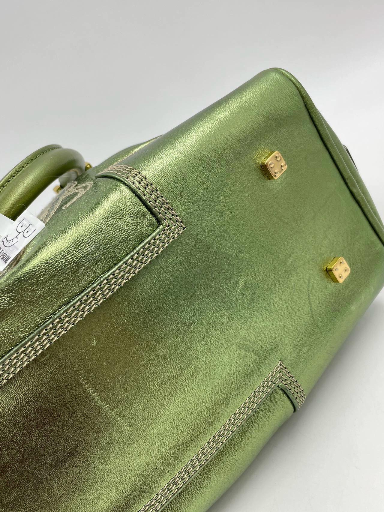 Loewe Amazona 29 Zip Around in Metallic Green Lambskin Leather For Sale 3