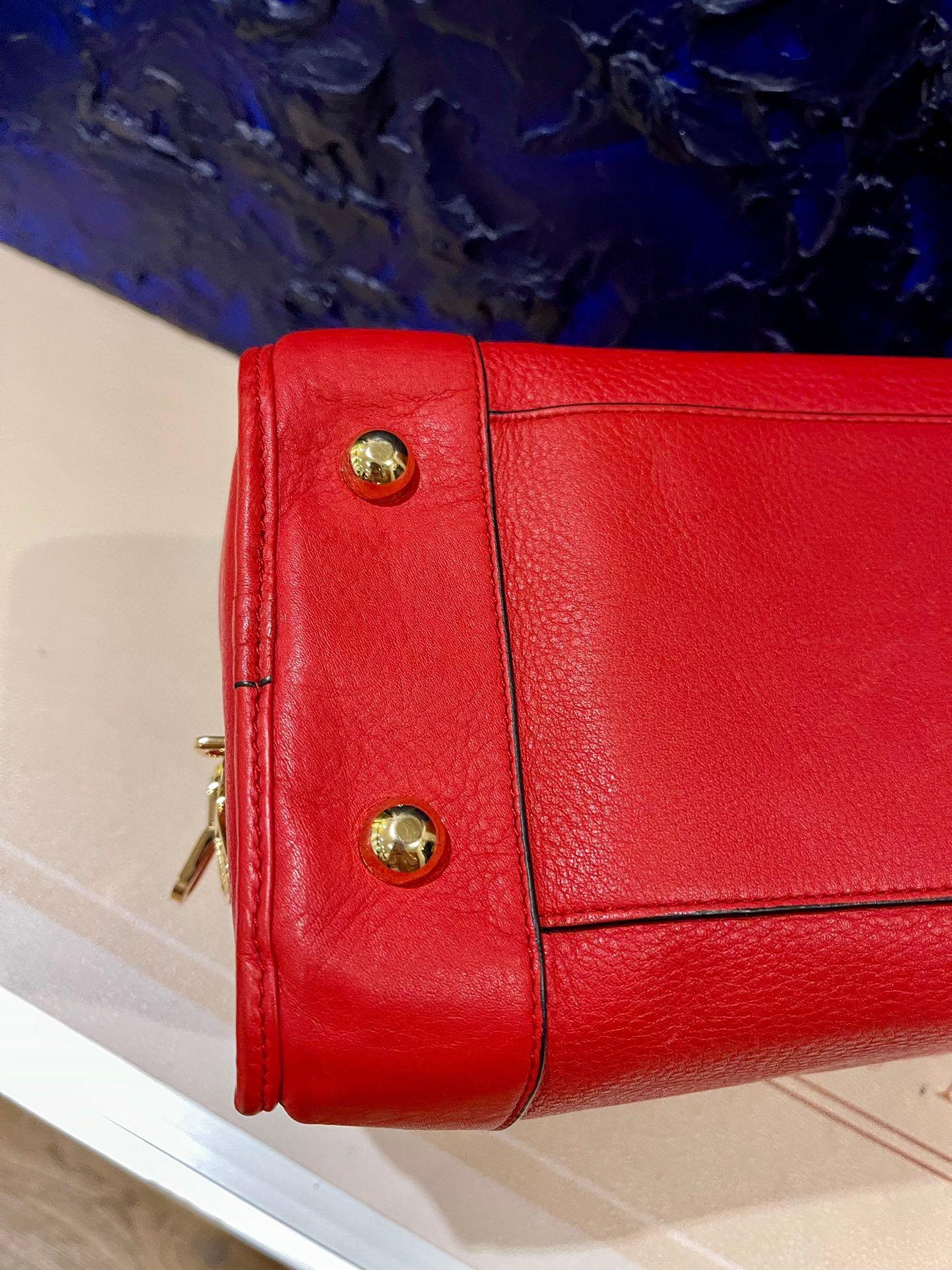 Loewe Amazona 36 Large en cuir rouge et métal doré Serrure escargot en vente 6