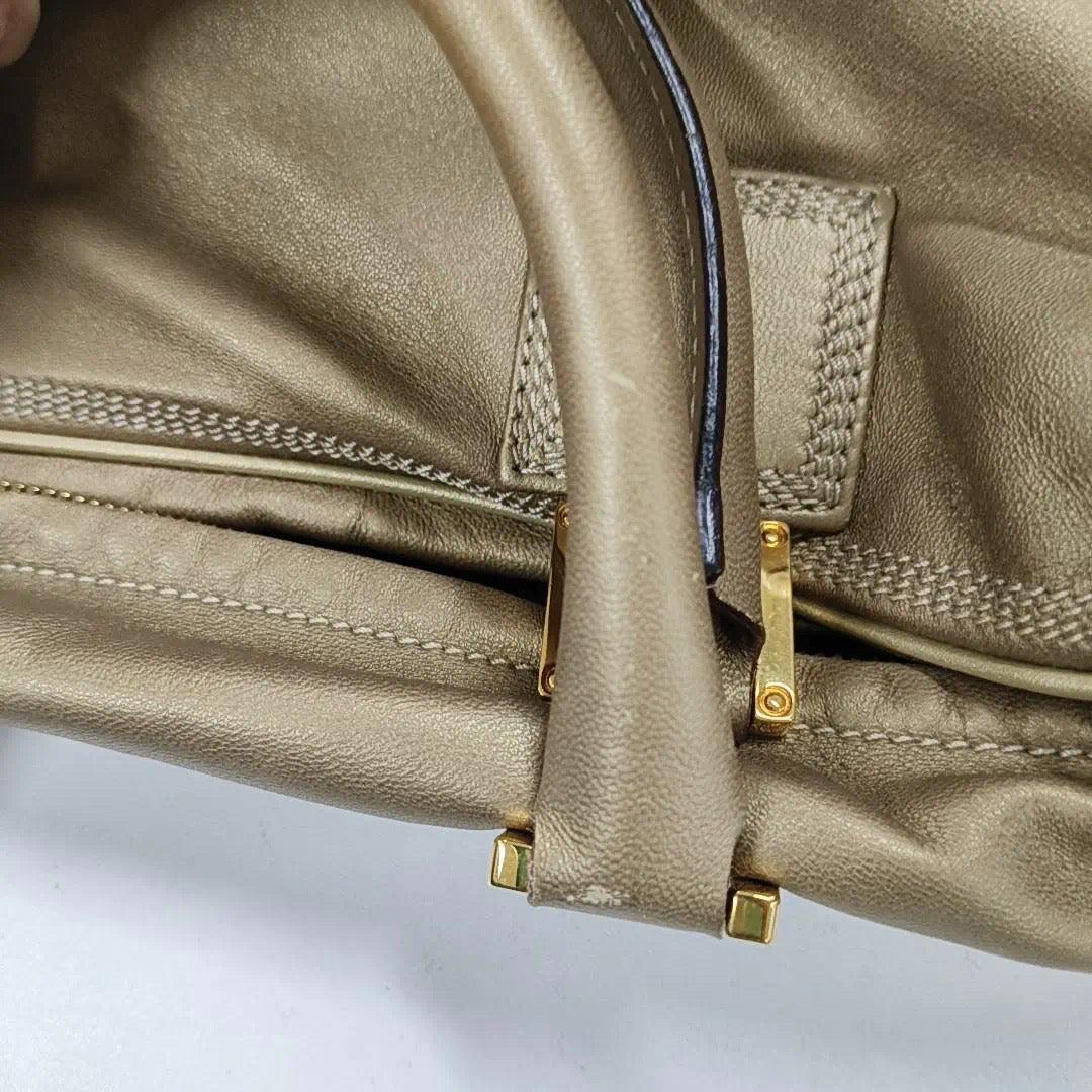 Loewe Amazona 36 Oro claro Piel de cordero con cremallera Mediana 5