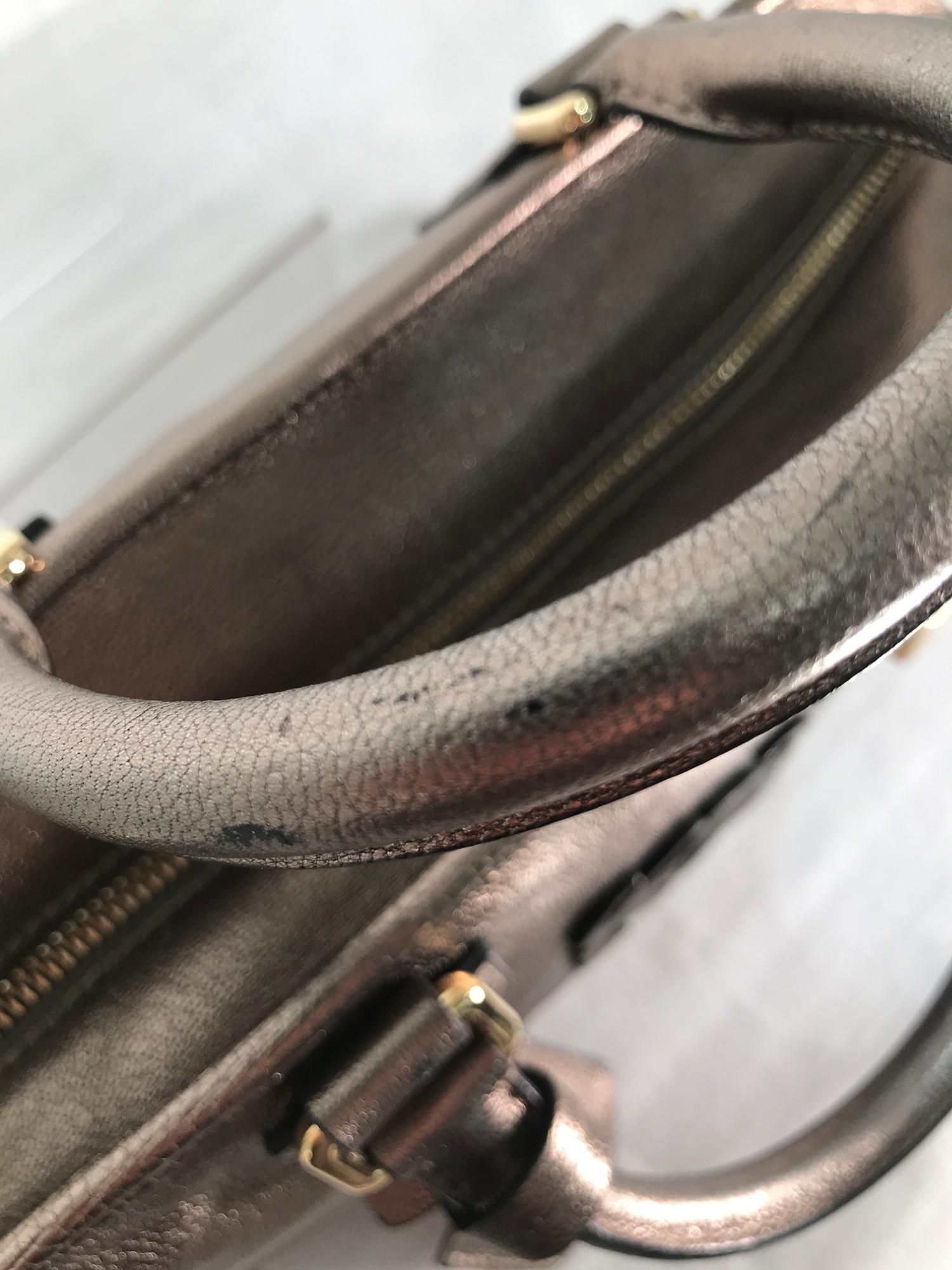 Loewe Amazona Bronze Goatskin Handbag  For Sale 4