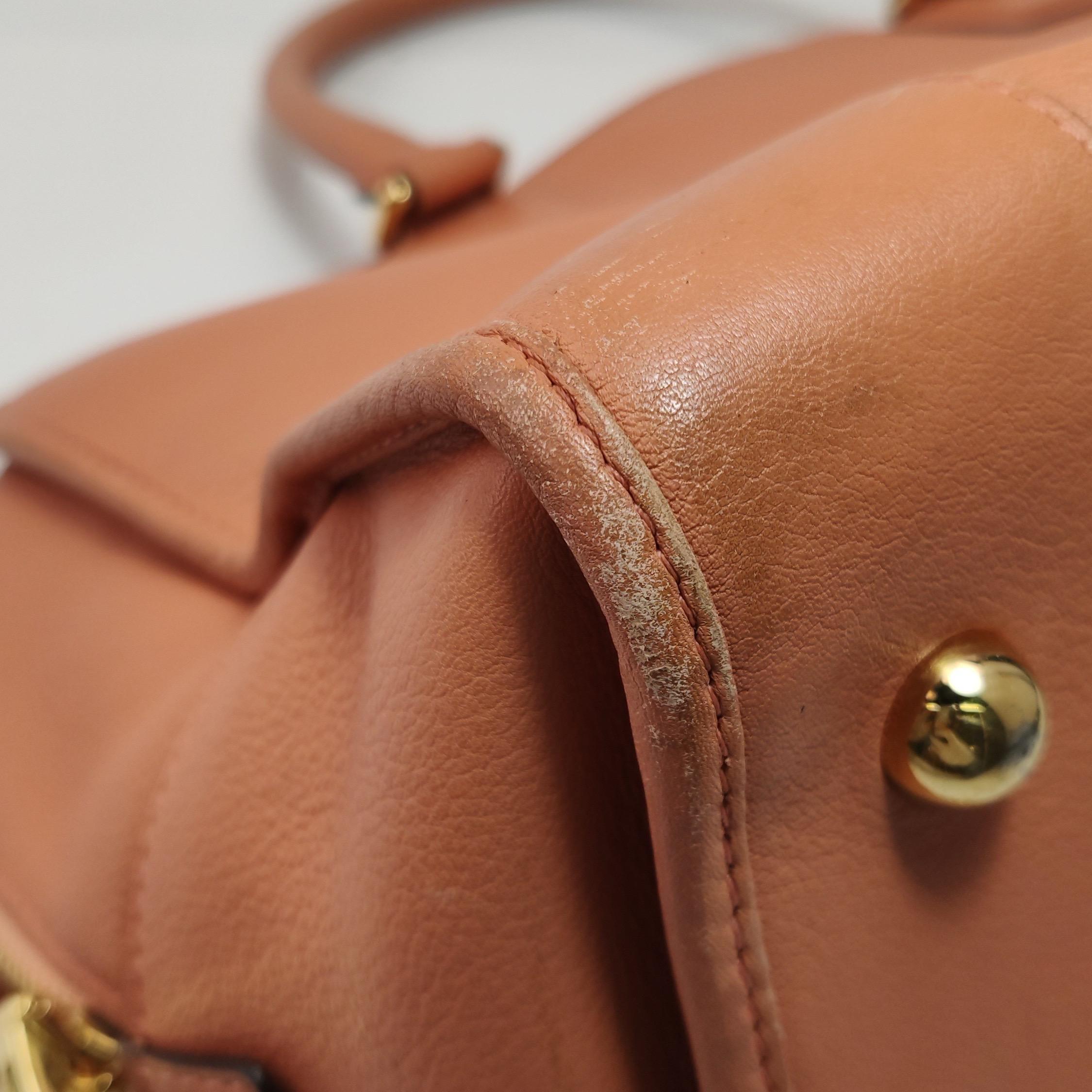 Loewe Amazona Medium 36 Cuir Corail Clair Avec Bandoulière Animal Chèvre Verrouillé en vente 6