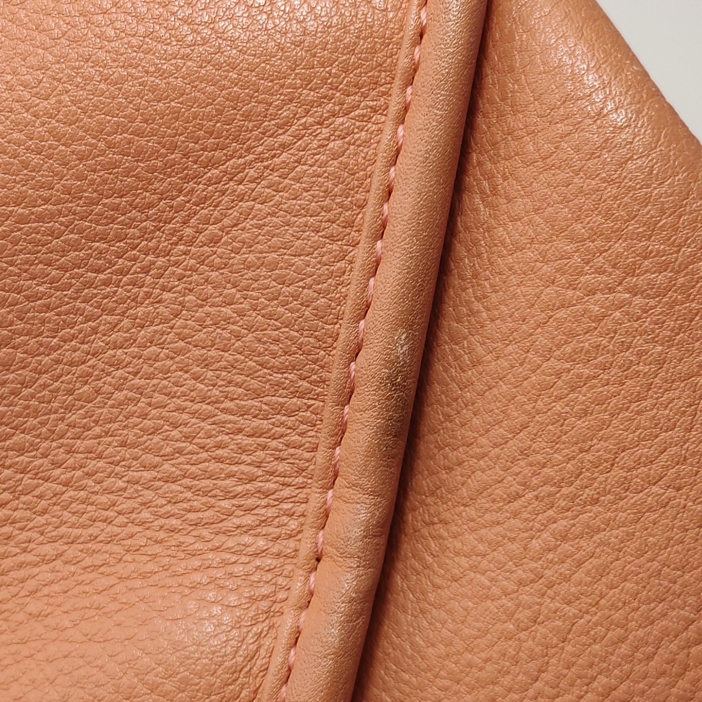 Loewe Amazona Medium 36 Cuir Corail Clair Avec Bandoulière Animal Chèvre Verrouillé en vente 7