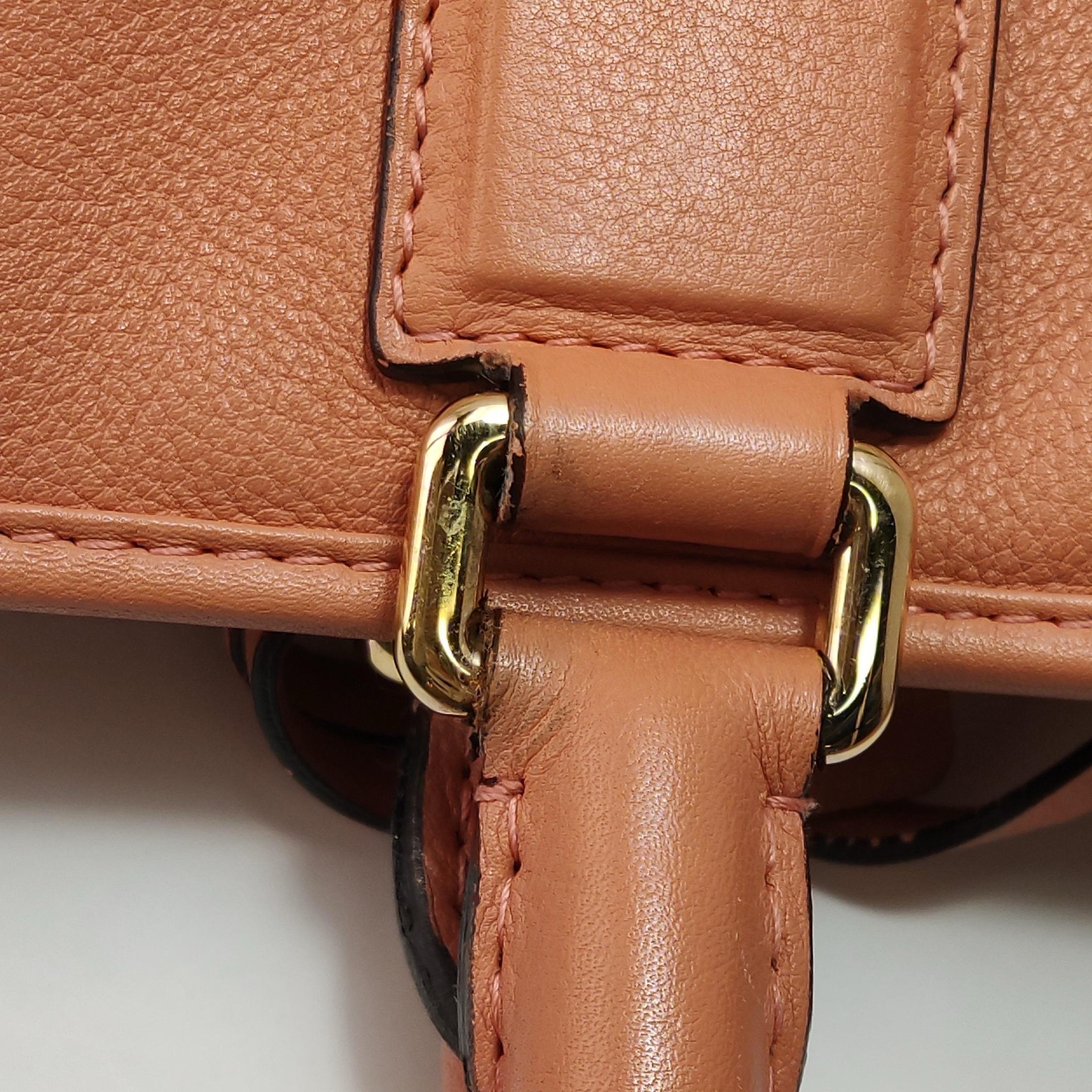 Loewe Amazona Medium 36 Cuir Corail Clair Avec Bandoulière Animal Chèvre Verrouillé en vente 9