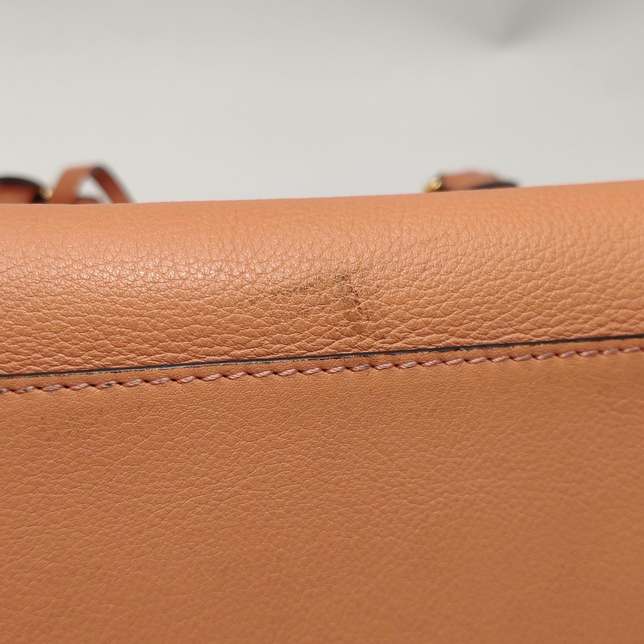 Loewe Amazona Medium 36 Cuir Corail Clair Avec Bandoulière Animal Chèvre Verrouillé en vente 10