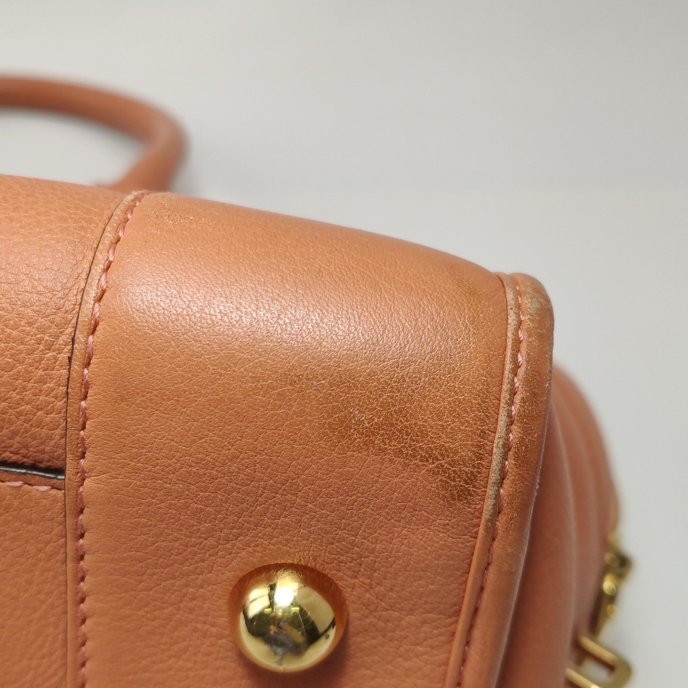 Loewe Amazona Medium 36 Cuir Corail Clair Avec Bandoulière Animal Chèvre Verrouillé en vente 11